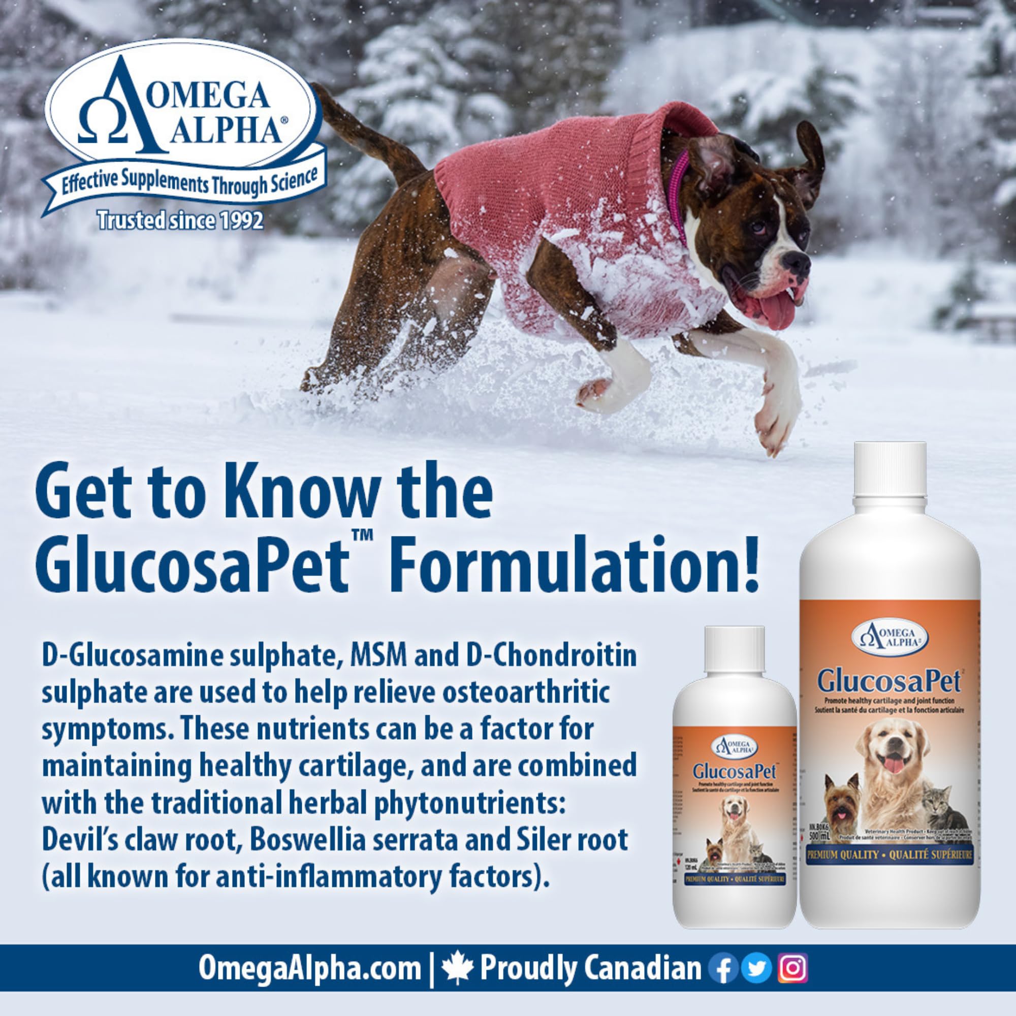 Omega Alpha GlucosaPet, supplément liquide pour chiens et chats 1 litre avec glucosamine chondroïtine MSM, soutient le confort articulaire, la mobilité, la flexibilité et le cartilage