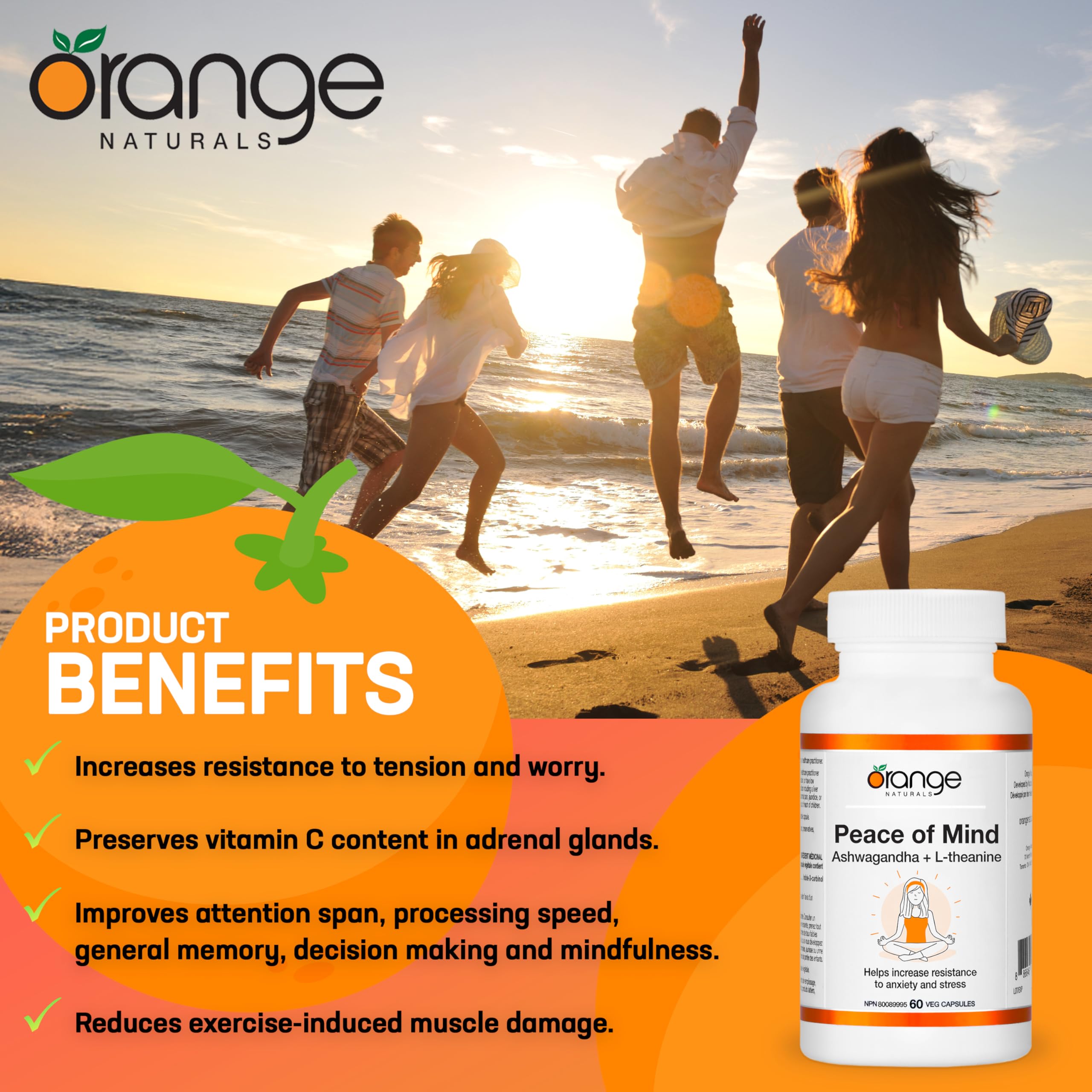 Orange Naturals - Tranquillité d'esprit, Ashwagandha KSM-66 et L-théanine, 60 gélules pour 30 jours - Ashwagandha haute concentration 300 mg et L-théanine 100 mg pour la relaxation et la concentration - Végan et sans OGM