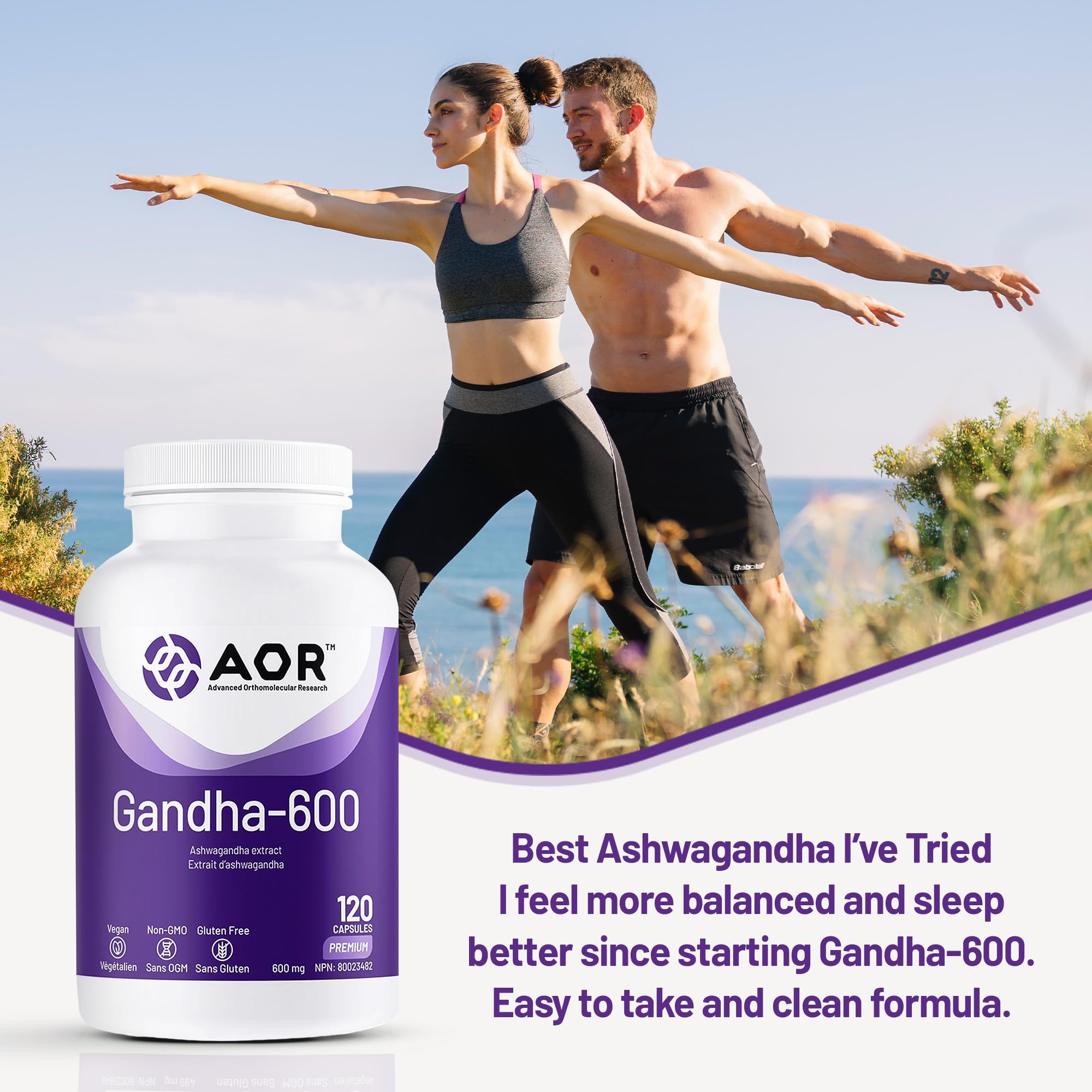 AOR Gandha-600