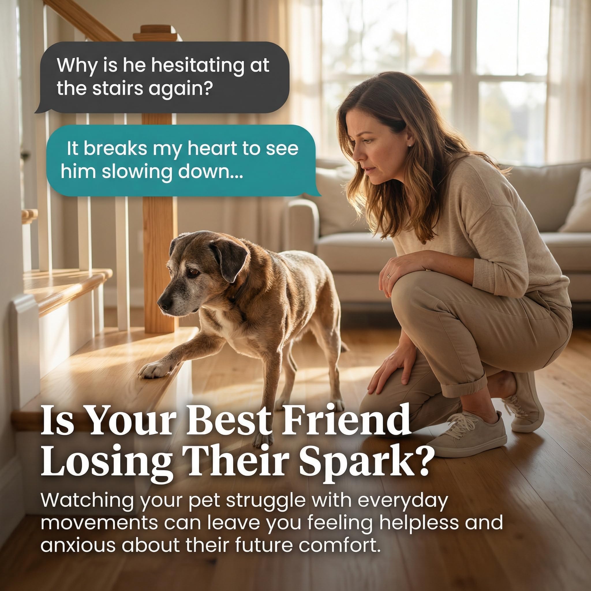 PURICA Pet Recovery