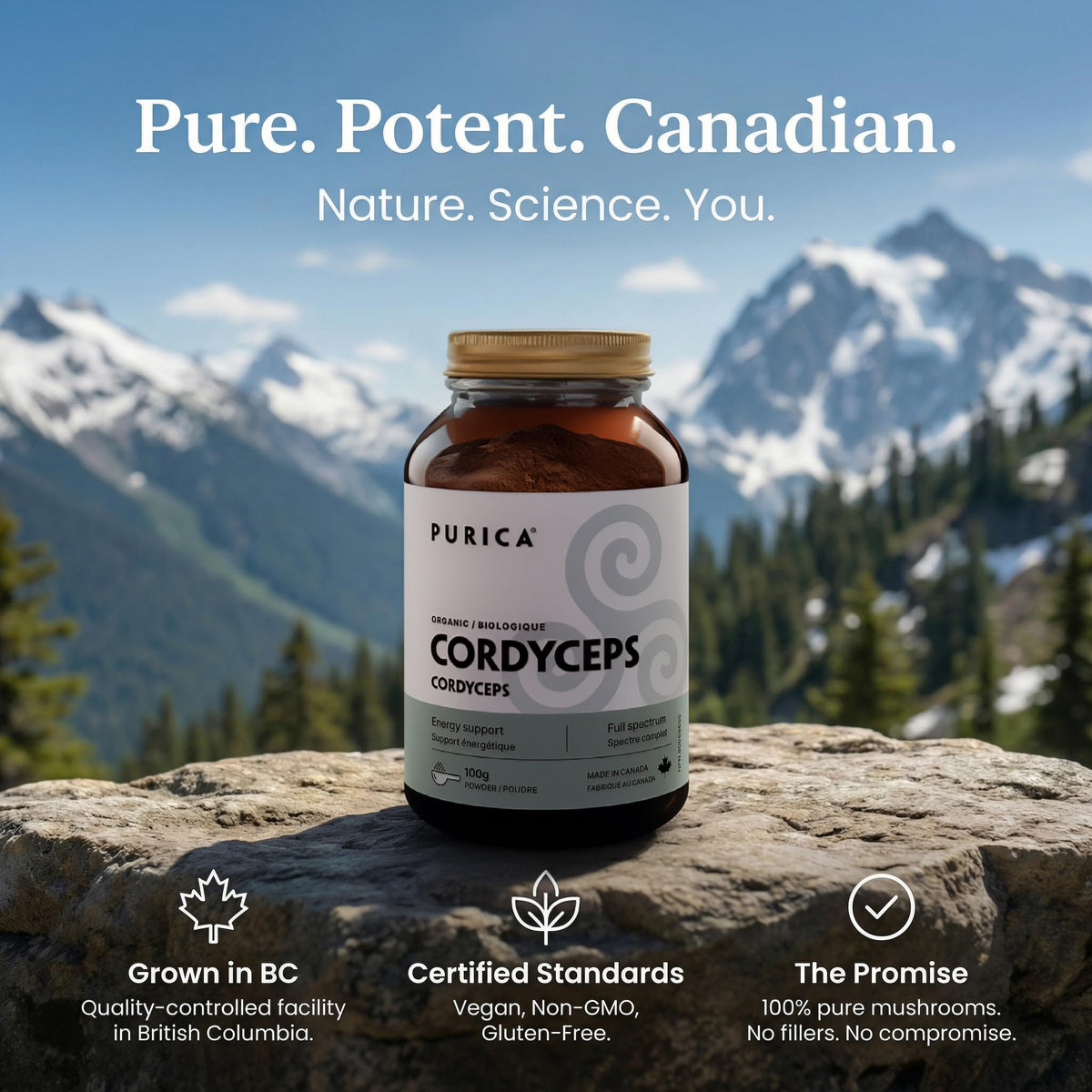 PURICA Organic Cordyceps Mushroom Powder, Micronized, 100 g, 55 Servings