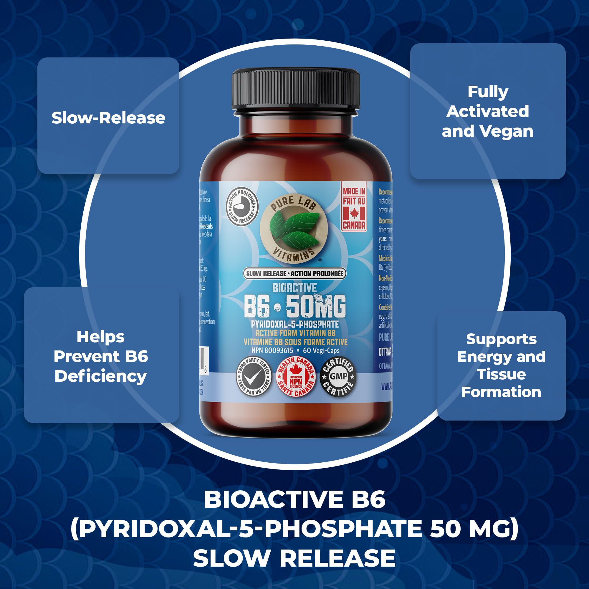 Pure Lab Vitamins B6 Bioactive (Pyridoxal-5-Phosphate) 50 mg - Libération Lente - 60 Gélules Végétales
