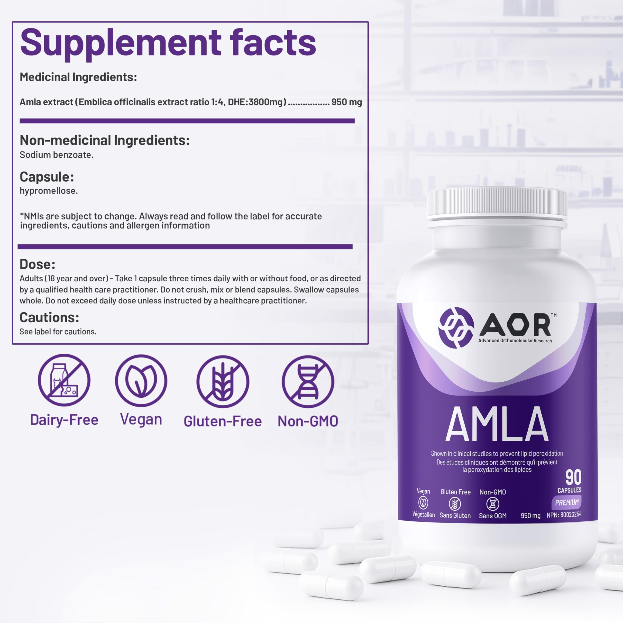 AOR Amla 950mg, 90 gélules (30 jours d'approvisionnement) - Complément d'Amla Biologique pour le Soutien du Cholestérol, Extrait d'Amla Puissant - Végétalien, Sans OGM et Sans Gluten - Aide à Maintenir le Bien-être Digestif et un Taux de Lipides Sain