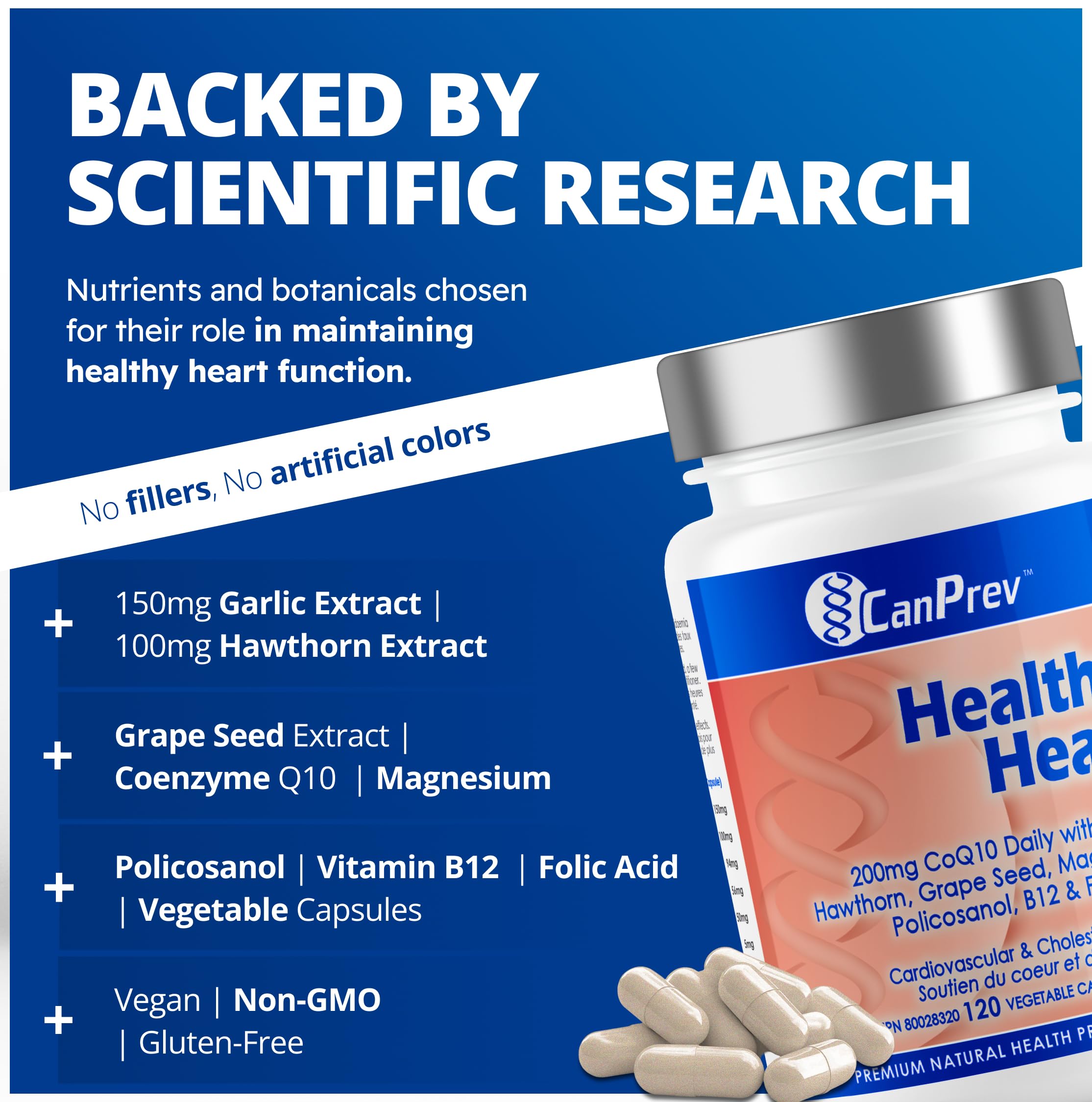 CanPrev Coeur Sain, 120 Gélules Végétaliennes, Approvisionnement de 30 jours - Enrichi en Coenzyme Q10, Bisglycinate de Magnésium et Vitamine B12 - Conçu pour la Santé Cardiaque, un Cholestérol Équilibré et une Meilleure Qualité de Sommeil
