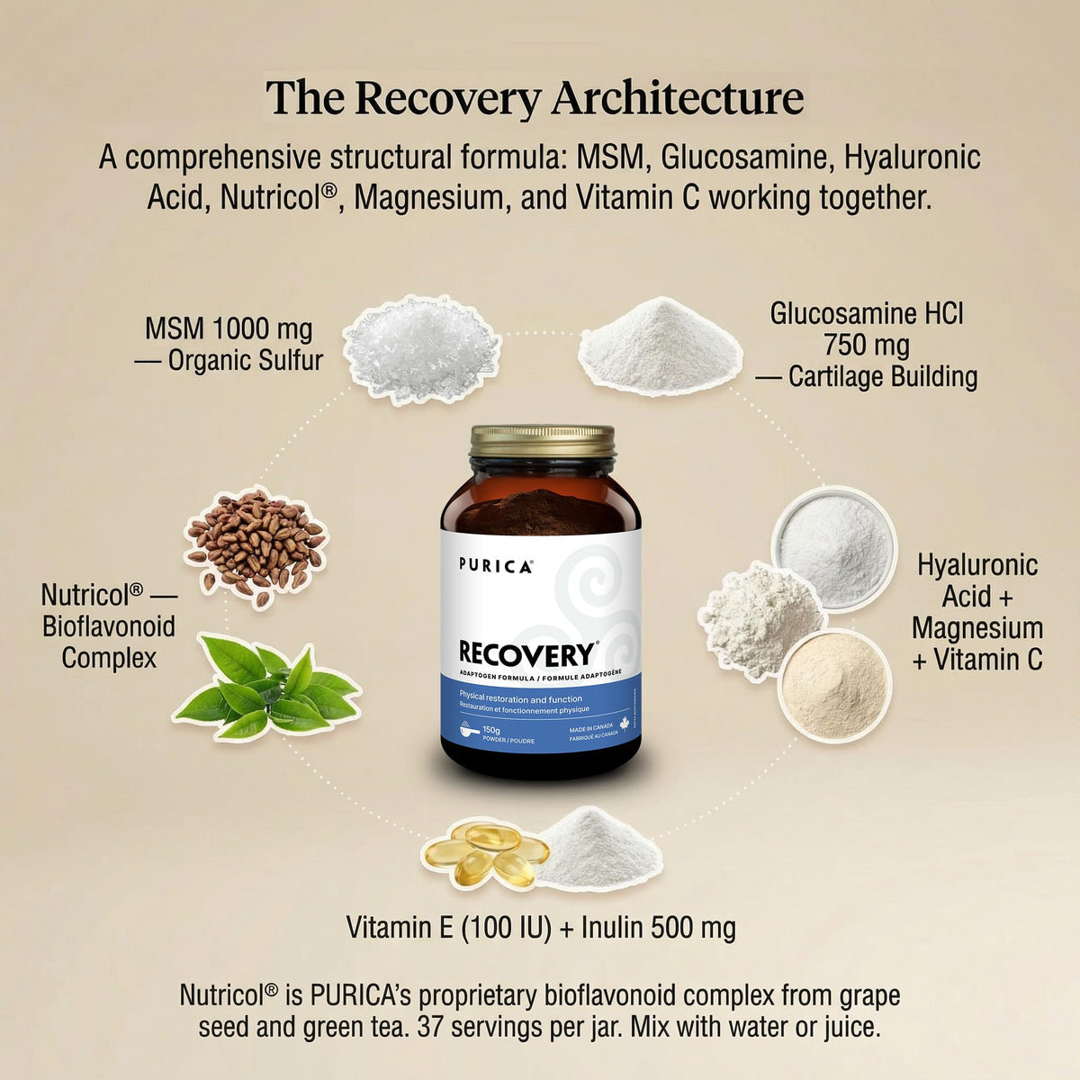 PURICA Recovery Adaptogen Powder, Vegan, Made in Canada, 150 g, 37 Servings