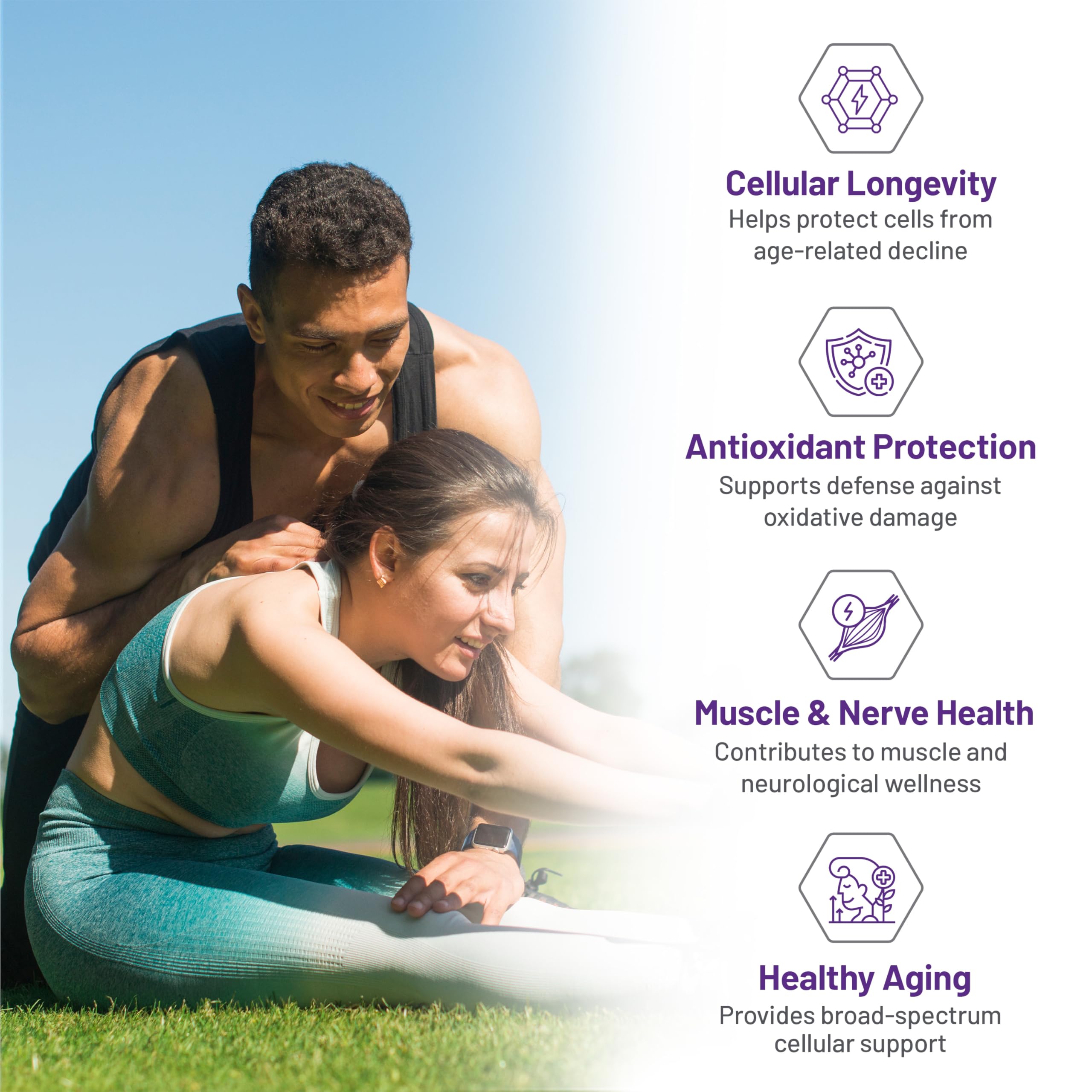 AOR Carnosine Supplément 500 mg Acides Aminés - Soutien Antioxydant pour la Fonction Cellulaire, la Vitalité Musculaire et le Bien-être Cognitif - Formule Végétalienne, sans OGM et sans Gluten