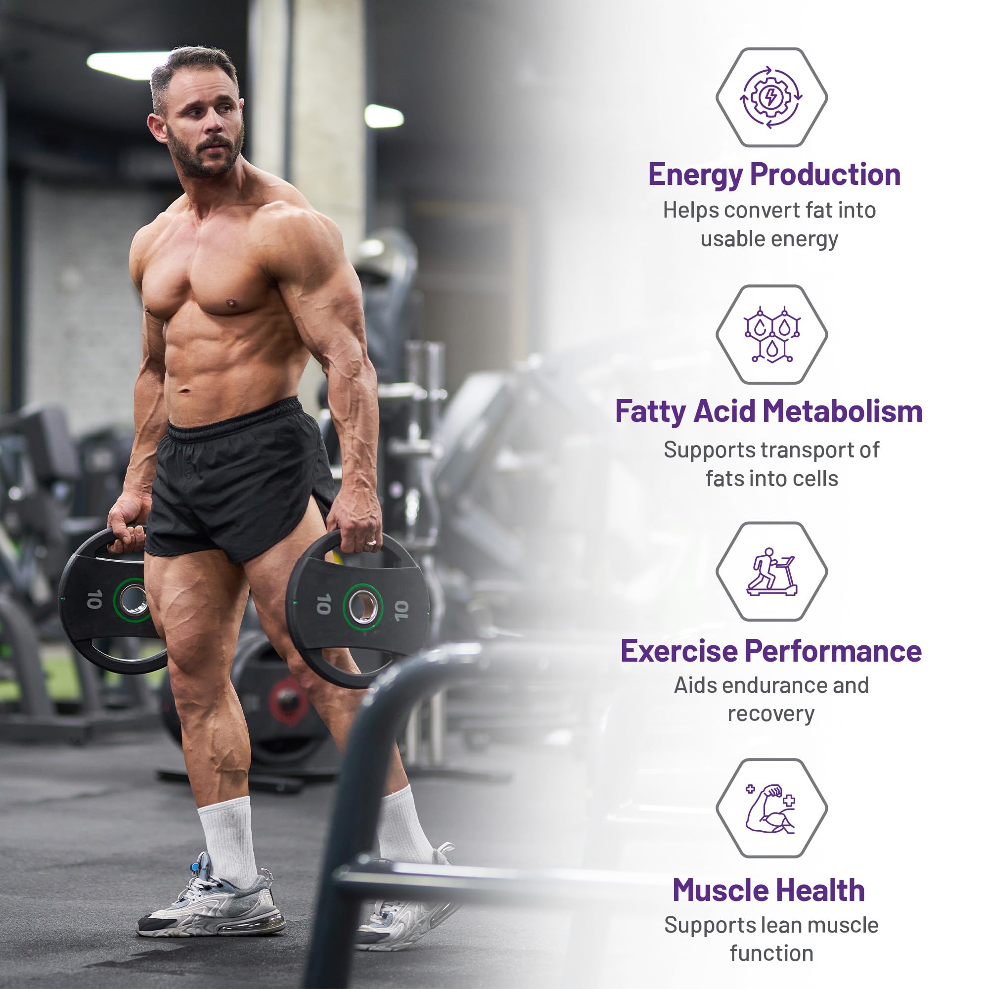 AOR - L-Carnitine 500mg, 120 Capsules 30-Day Supply - L-Carnitine Tartrate, Supports Energy Metabolism, Muscle Recovery & Athletic Performance, Promotes Fitness Goals - Vegan, Non-GMO, & Gluten-Free