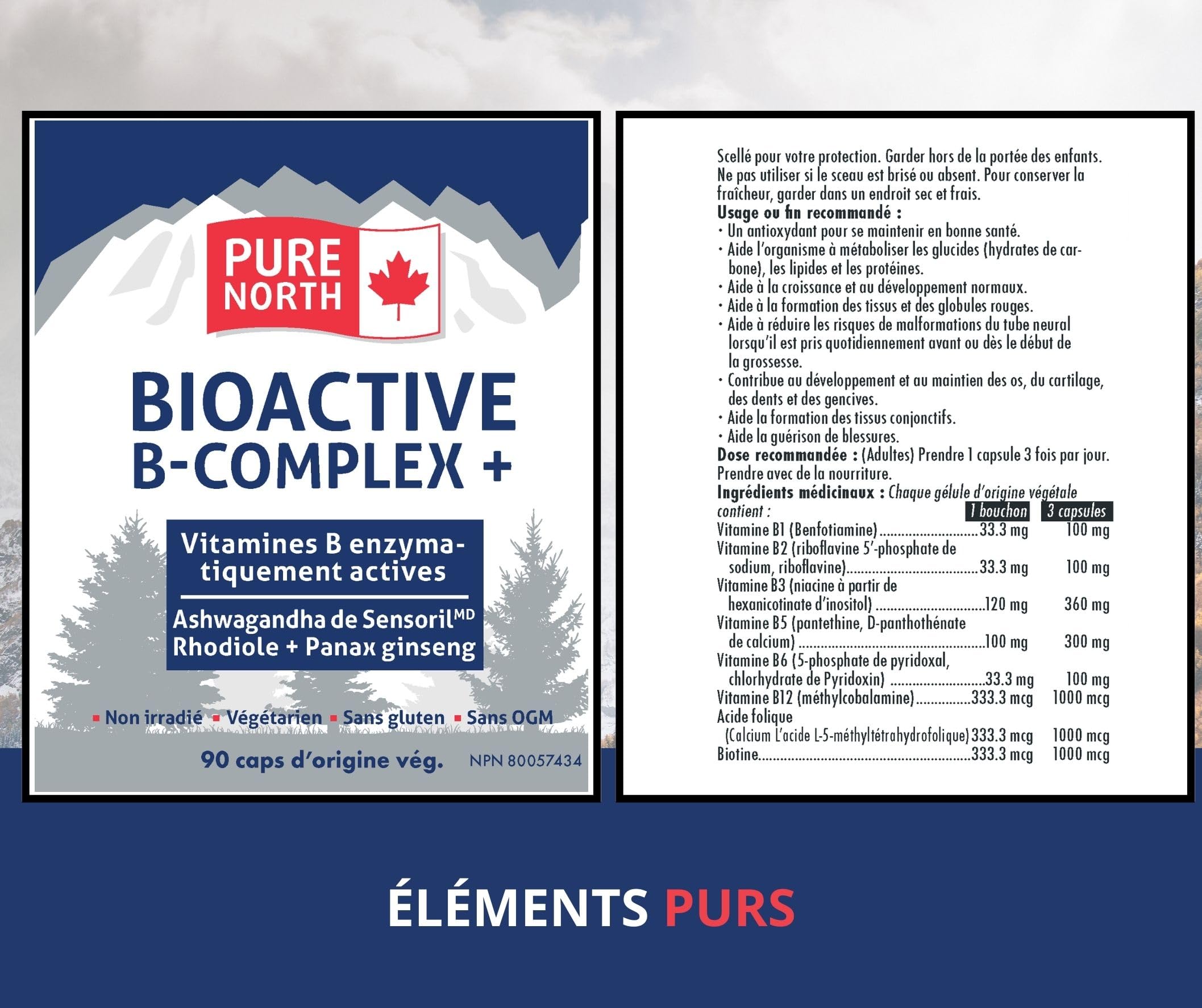 Pure North Naturals - Bioactive B-Complex Vitamin Supplement 90 Caps 30-Day Supply - Enzymatically Active Sensoril Ashwagandha, Rhodiola, Panax Ginseng - 3rd Party Tested - Formulated & Made in Canada