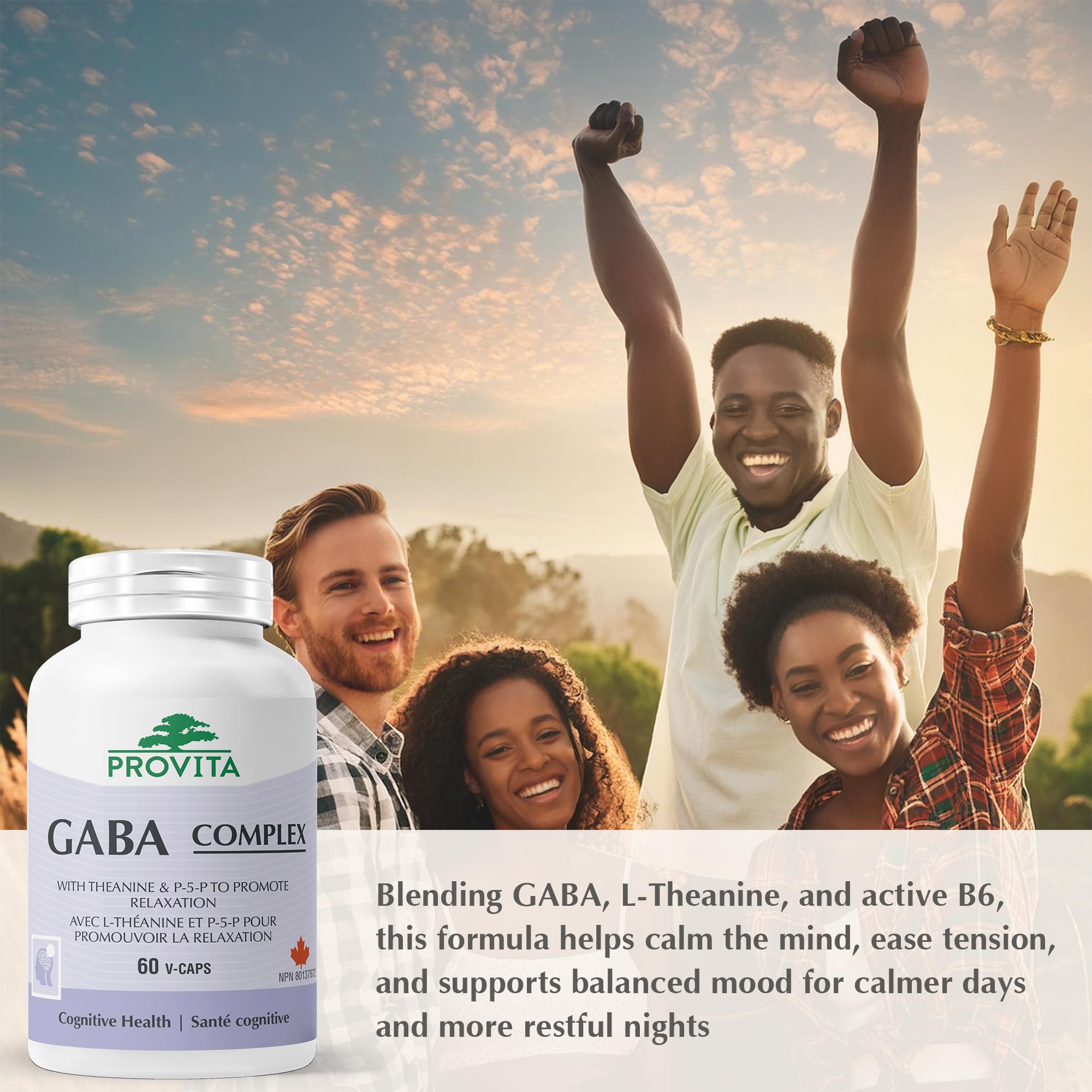 Provita GABA 500mg with L-Theanine & Vitamin B6 (P-5-P) | Natural Sleep Support & Relaxation Aid | Vegan, Non-GMO | Stress Support Supplement for Adults | NPN 80137872