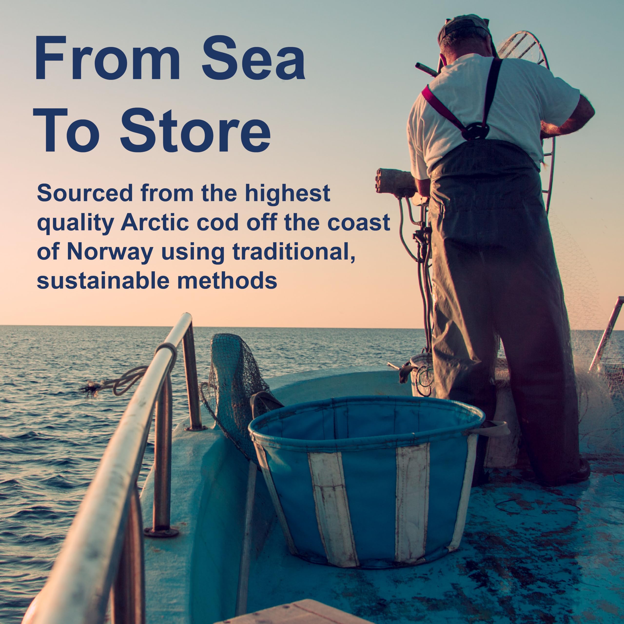 Carlson - Cod Liver Oil, 1100 mg Omega-3s + A & D3, Wild-Caught Norwegian Arctic Cod-Liver Oil, Sustainably Sourced Nordic Fish Oil Liquid