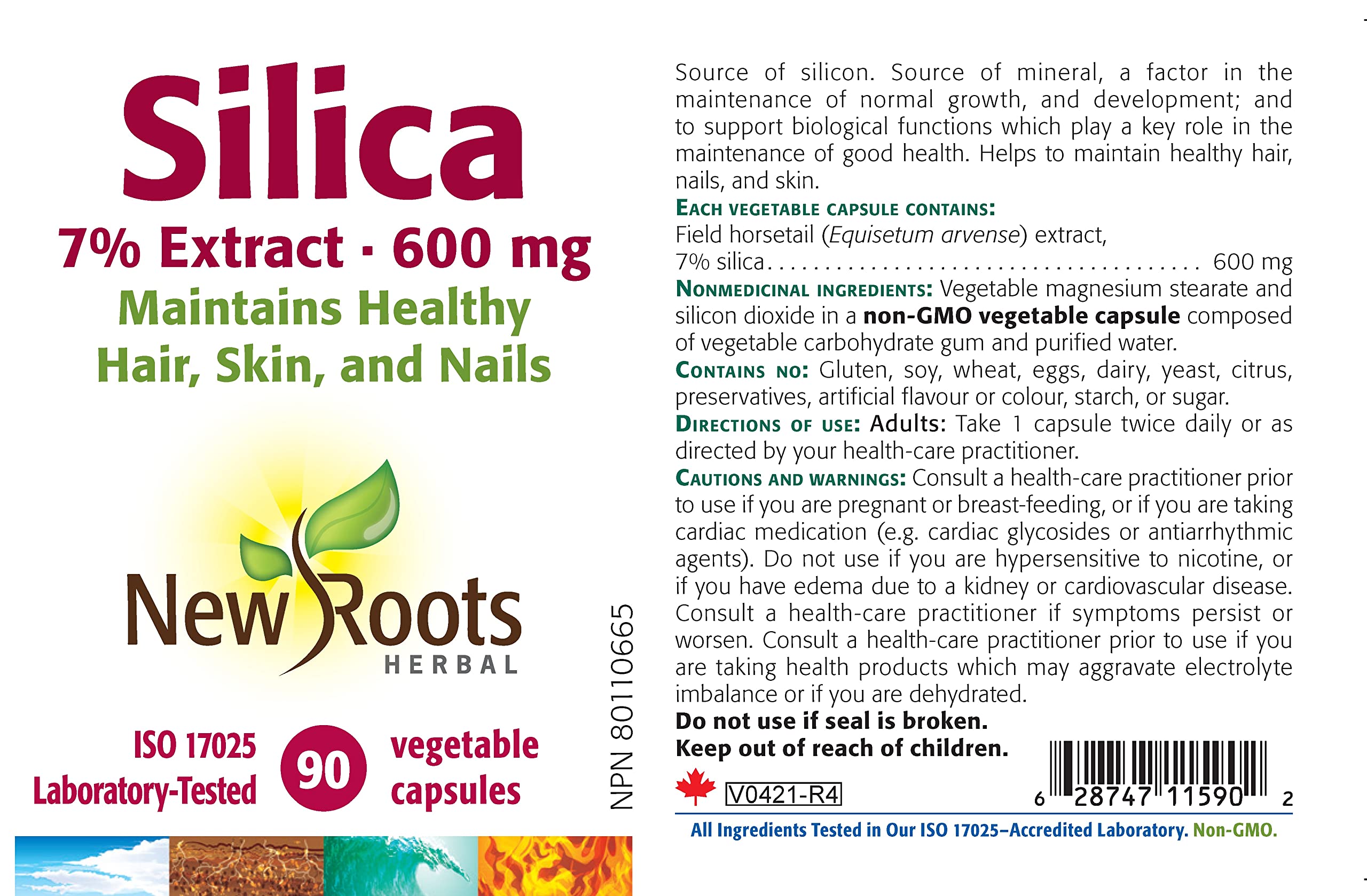New Roots Herbal Silica 7% Extrait 600mg, 90 capsules végétales (approvisionnement de 45 jours) - Extrait de prêle standardisé, favorise la santé des cheveux, de la peau, des ongles et des os, maintient les tissus conjonctifs