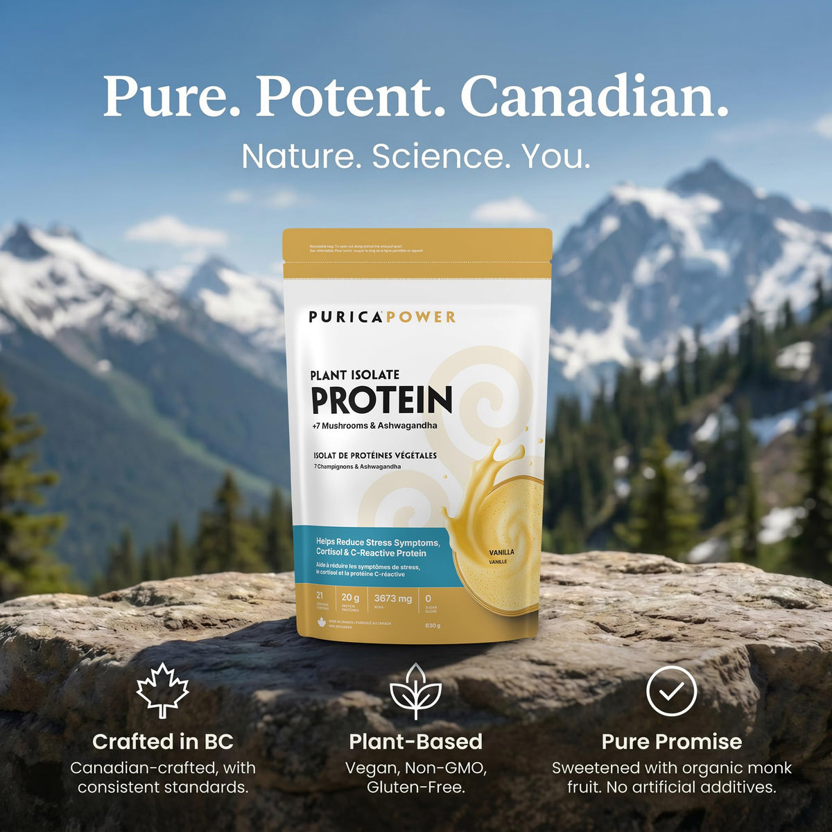 PURICA Vanilla Protein Powder, 7 Mushroom Blend, Pea & Rice Protein, 630 g