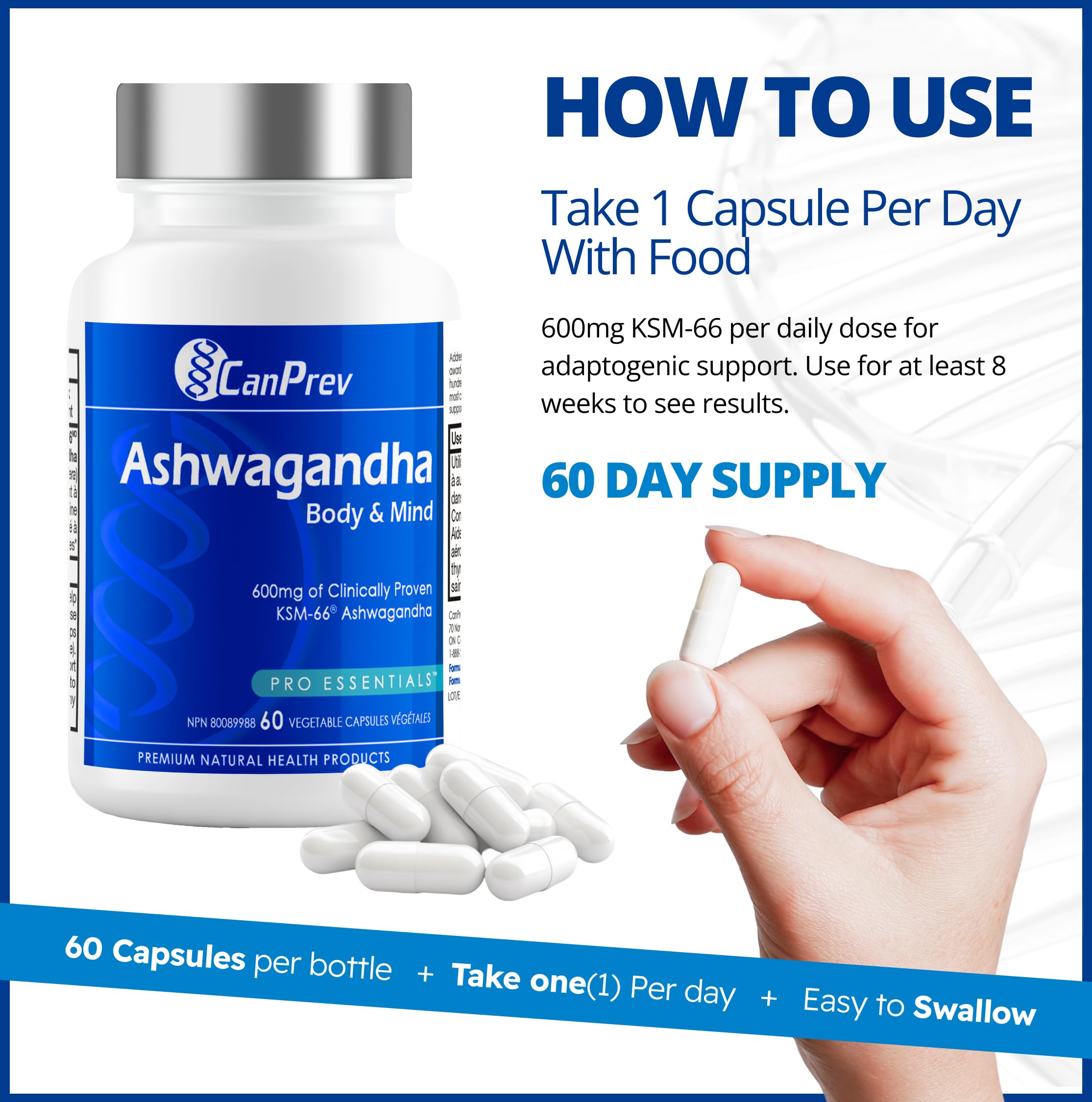 CanPrev Ashwagandha 600mg Végane 60 Gélules Fourniture de 60 Jours - Végane et Sans OGM - Formule Bio KSM-66 pour une Relaxation & Énergie Améliorées, un Soutien au Sommeil, une Amélioration de la Mémoire - Supplément pour la Gestion du Poids