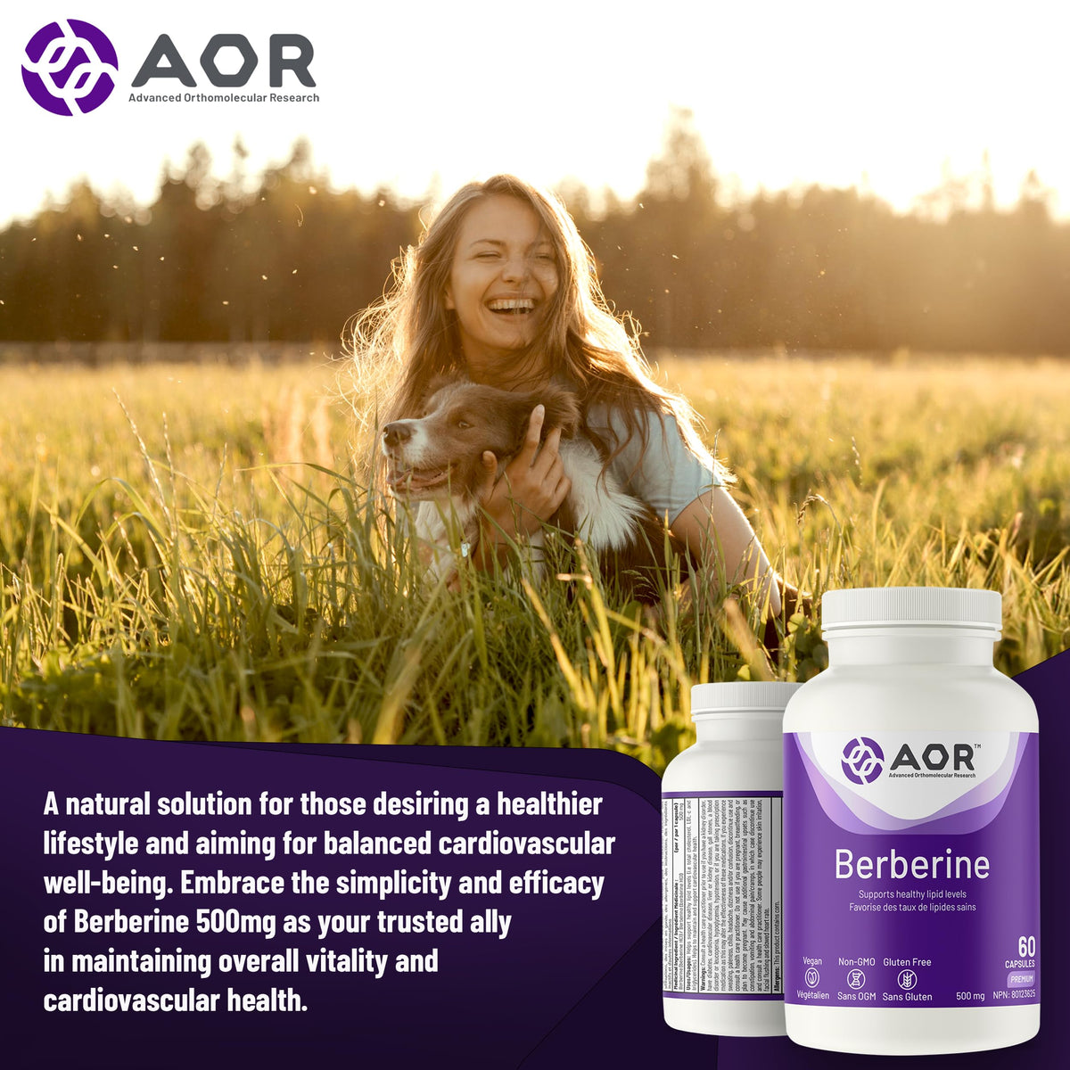 AOR Berberine Supplements, 500mg per Capsule, 60 Capsules, 30 Day Supply