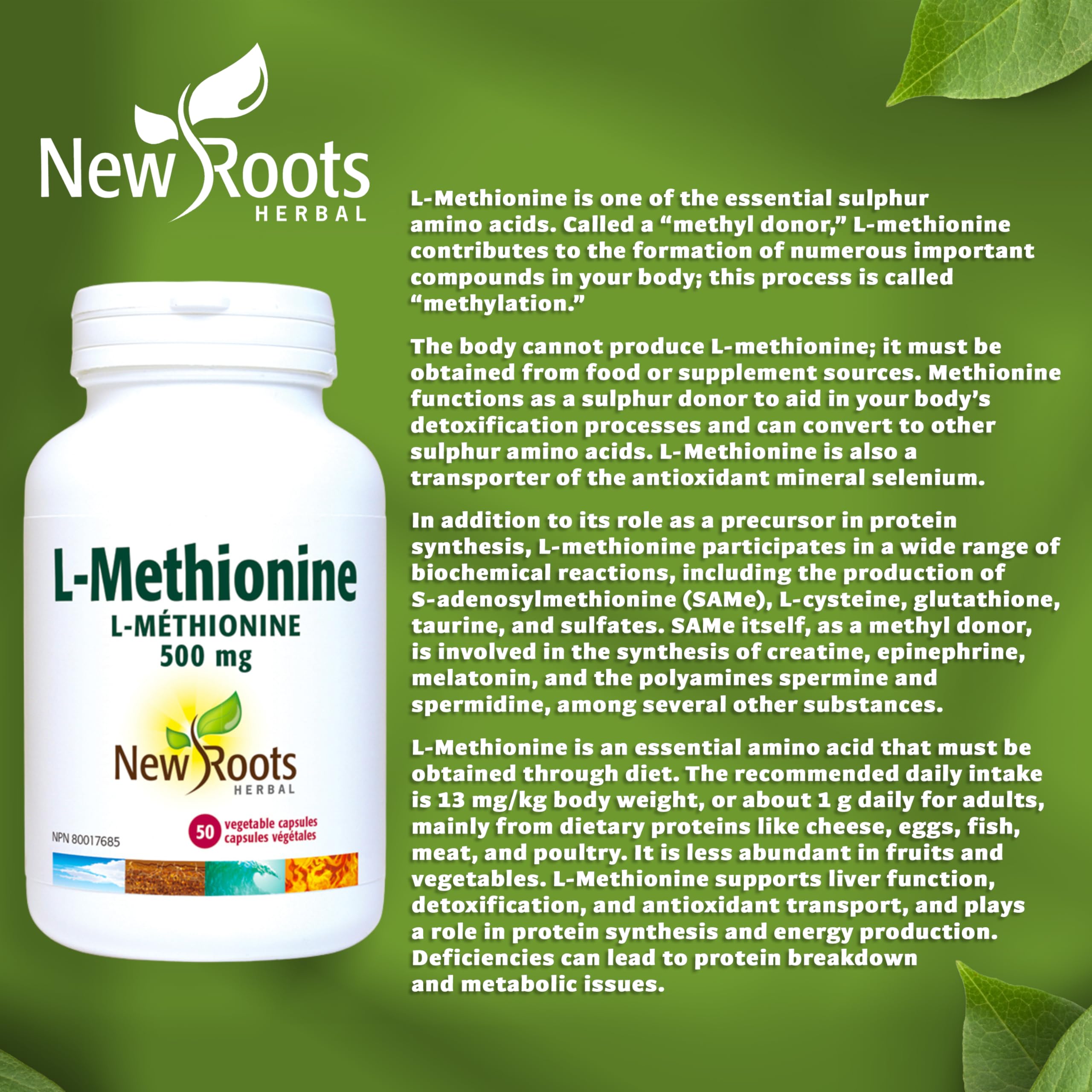 New Roots Herbal L-Méthionine 500 mg, Acide Aminé, Soutien Essentiel pour l'Activité Hépatique et le Bien-Être Quotidien, 50 Gélules Végétales, Approvisionnement de 50 Jours
