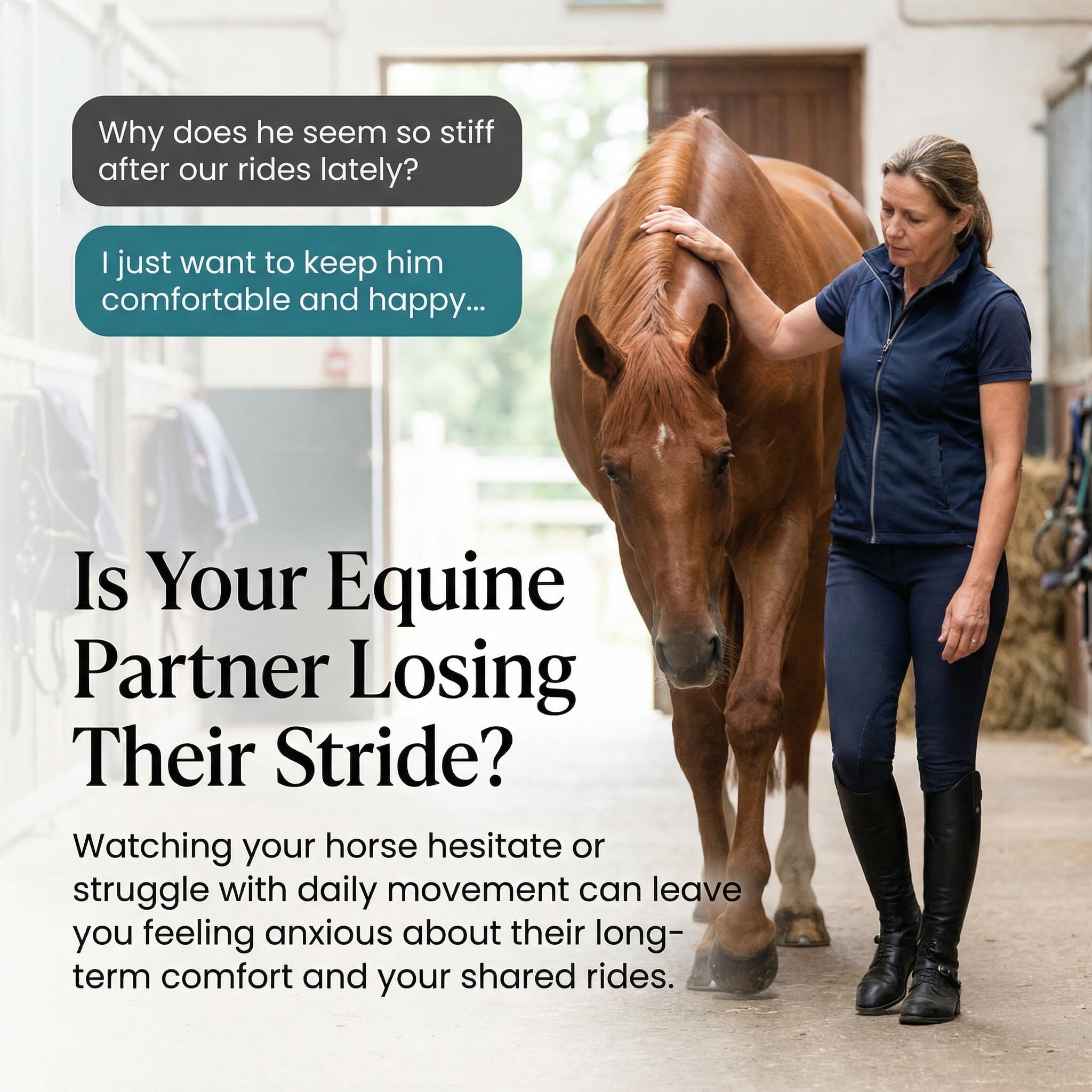 PURICA Equine Recovery