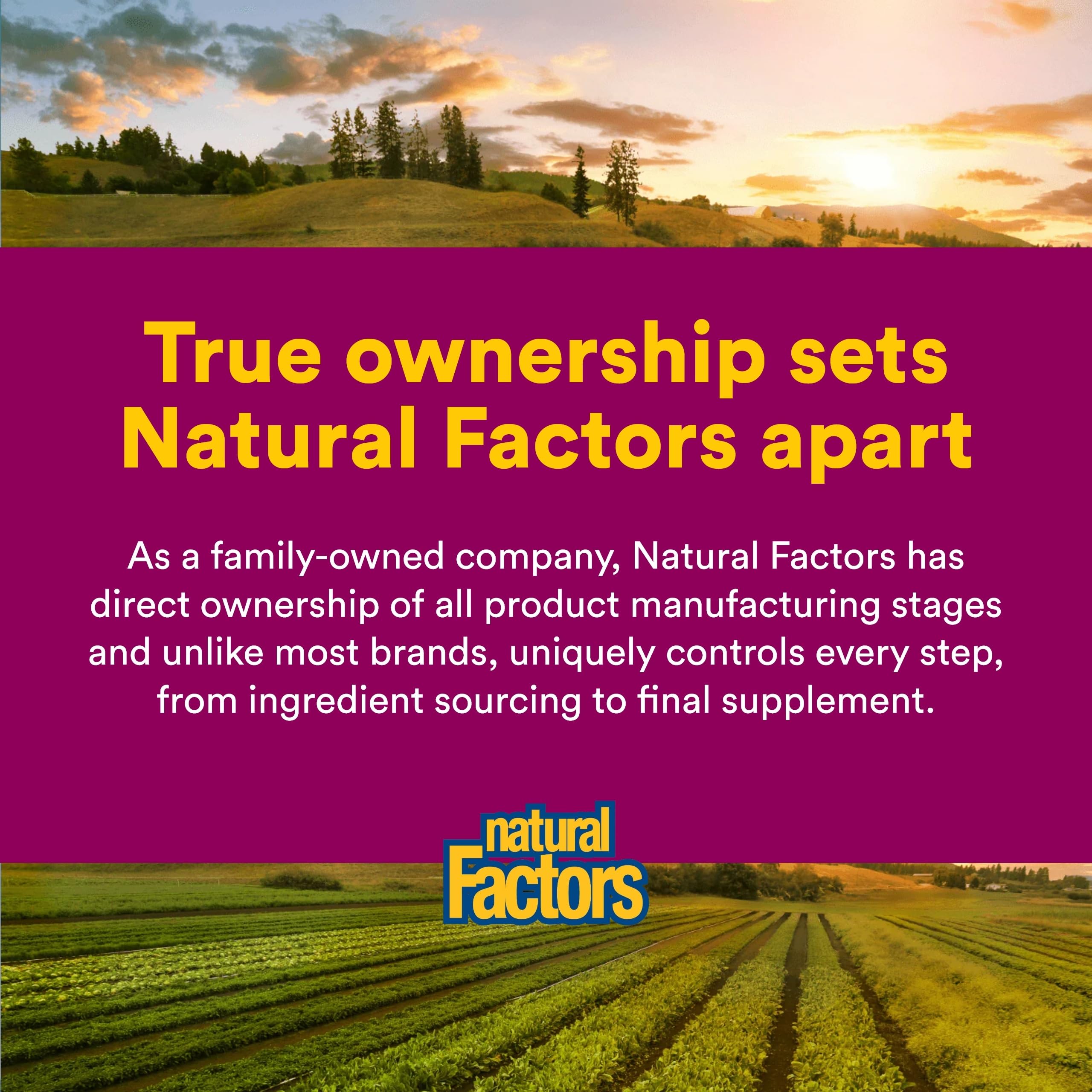 Natural Factors - Oil of Oregano 180mg, 60 Softgels