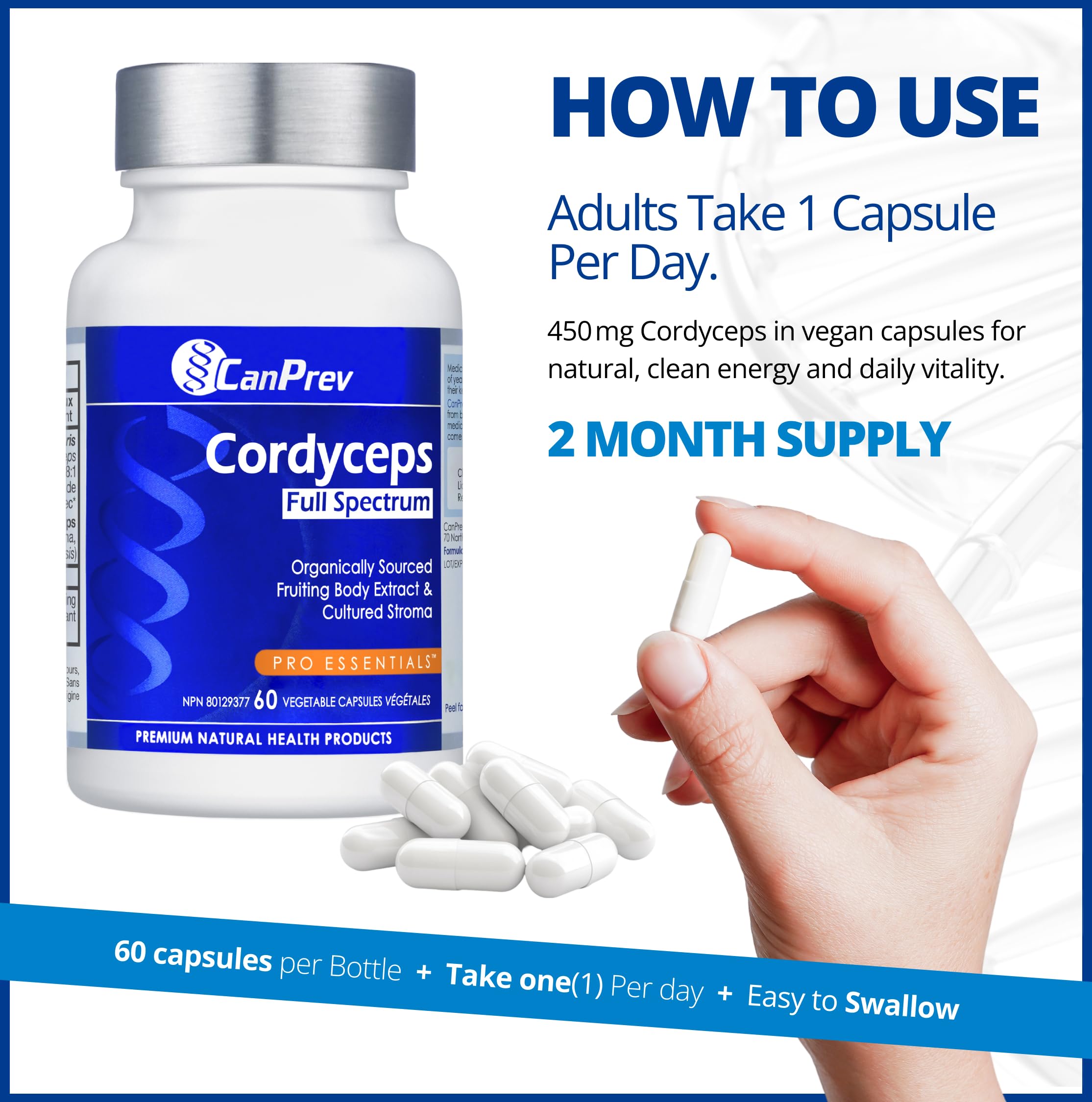 CanPrev Cordyceps Supplément de champignons à spectre complet 60 capsules végétaliennes, approvisionnement de 2 mois, corps fructifère et stroma cultivé biologiques, soutient la vitalité quotidienne, l'énergie, l'endurance, végétalien, sans gluten