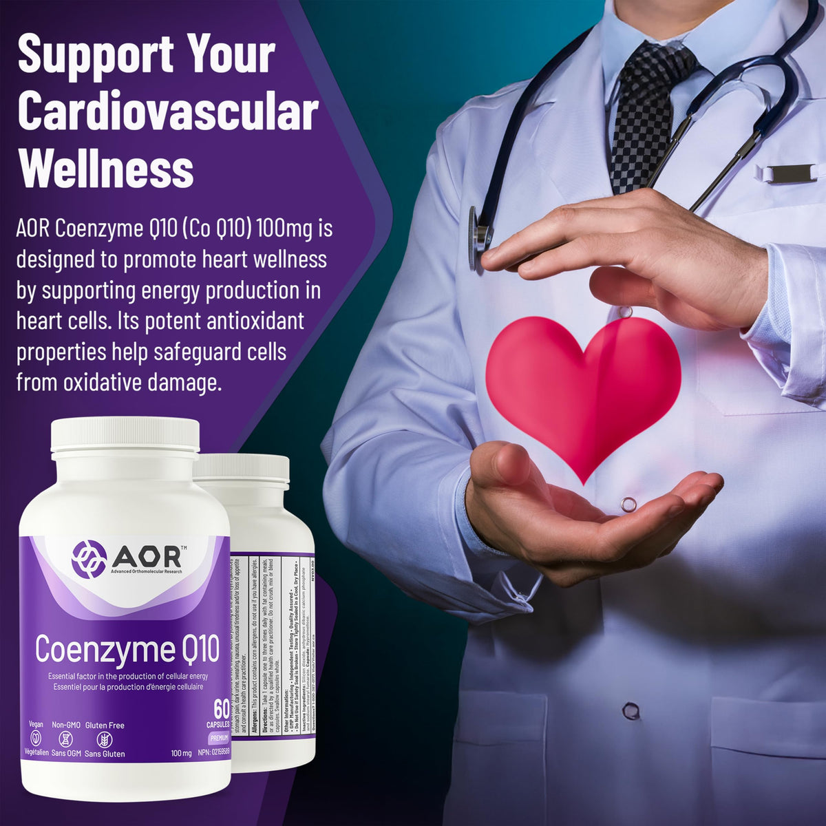 AOR CoQ10 Supplement, Coenzyme Q10, 100 mg, 60 Capsules