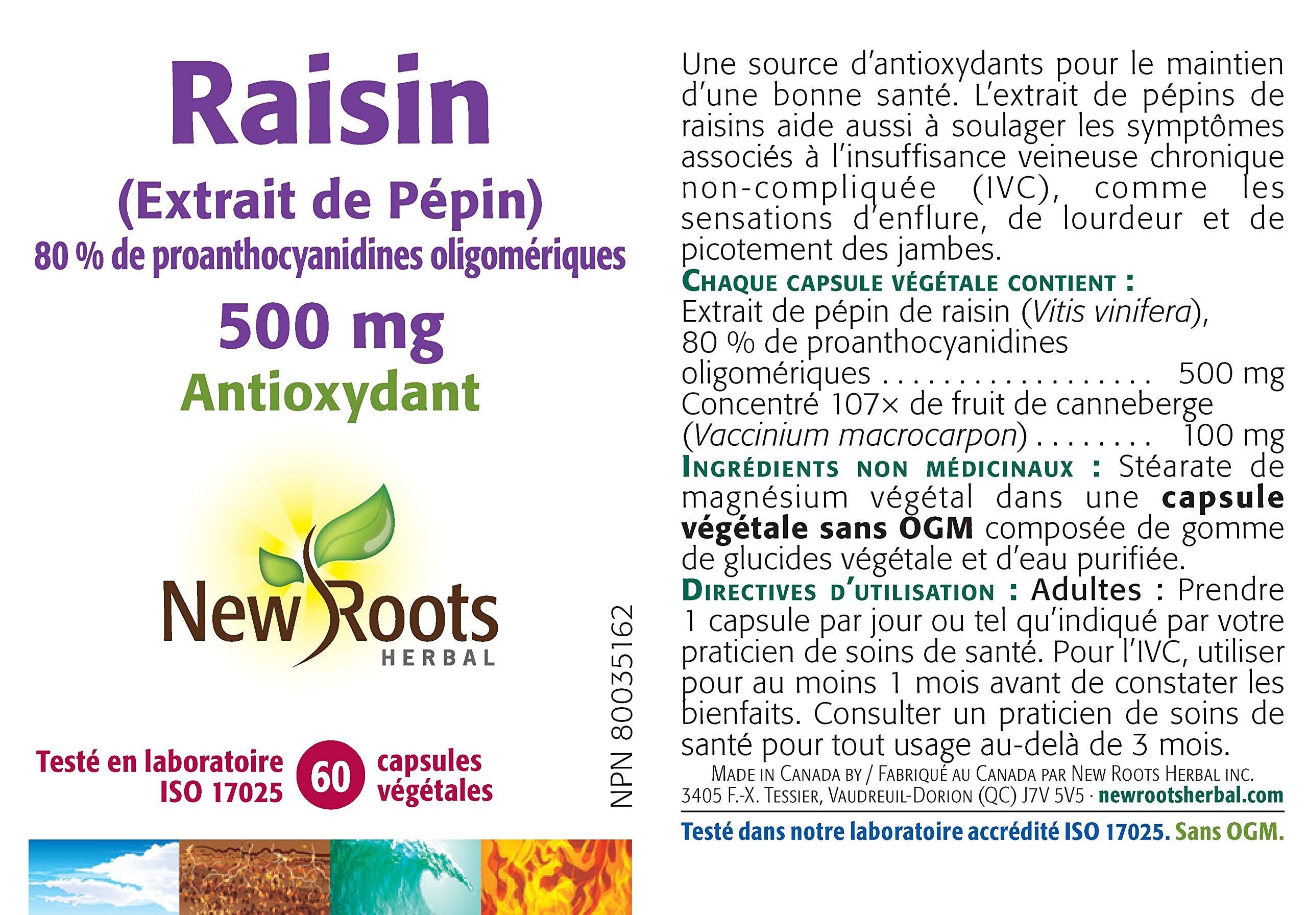New Roots Herbal Extrait de pépins de raisin 500 mg, 60 capsules végétales, approvisionnement de 60 jours, 80 % d’OPC normalisés, soutien antioxydant pour la santé capillaire et la vitalité de la peau avec concentré de canneberge