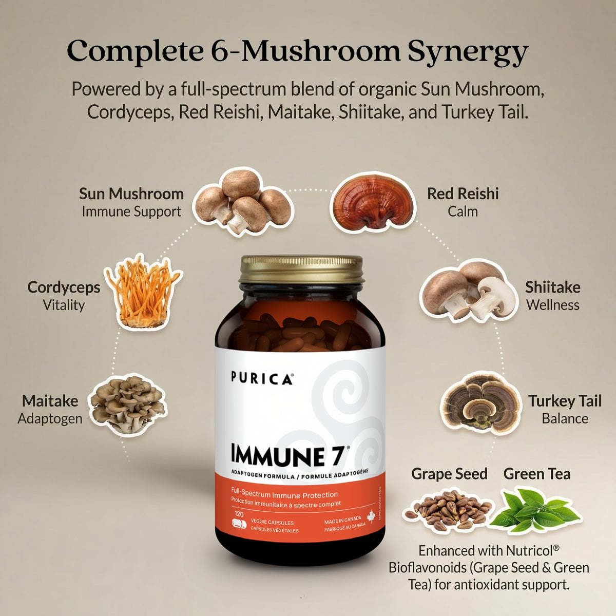 PURICA Immune 7 Mushroom Supplement, Turkey Tail, Reishi, 120 Capsules