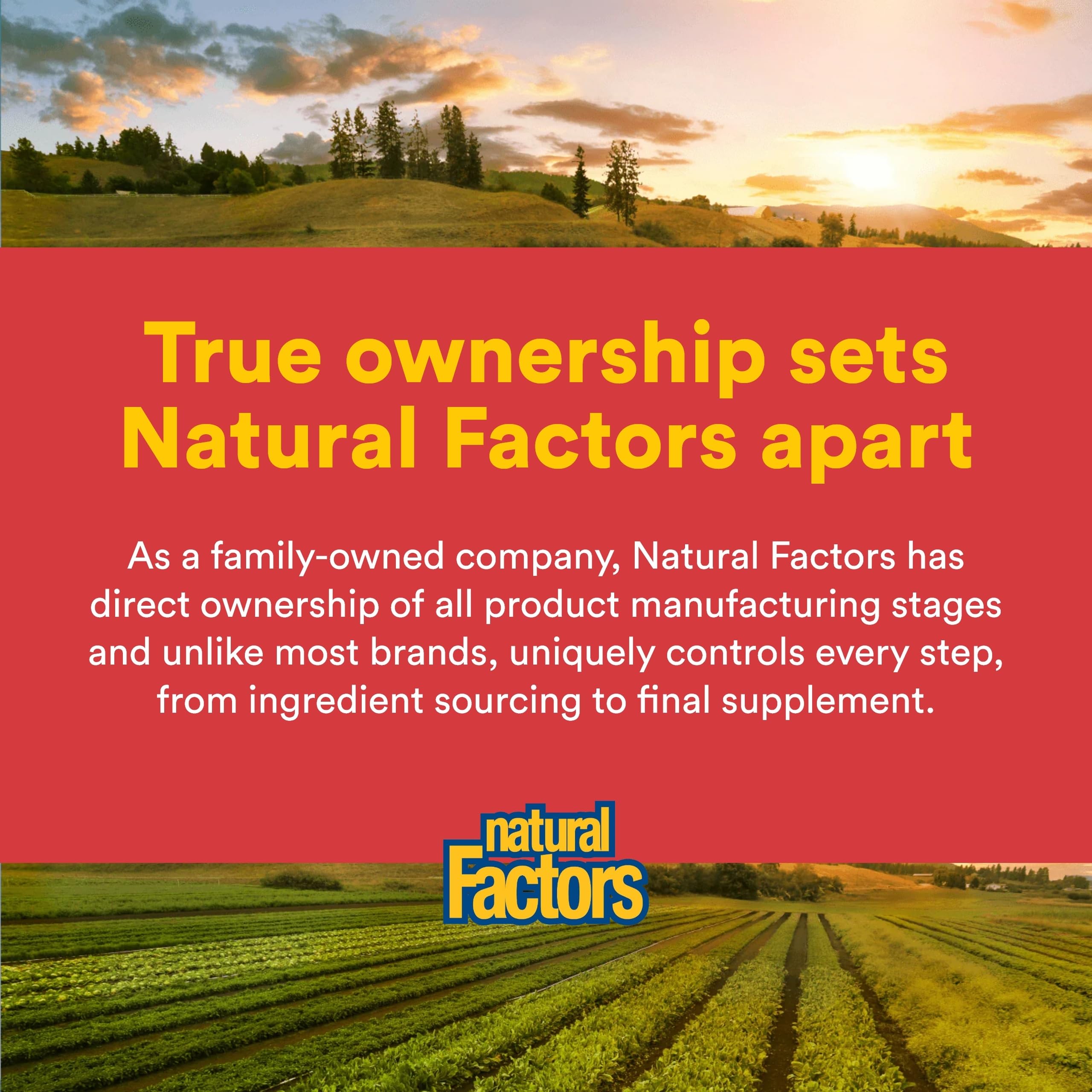 Natural Factors - Macarich Super Strength Maca Concentrate 500mg, 90 vcaps