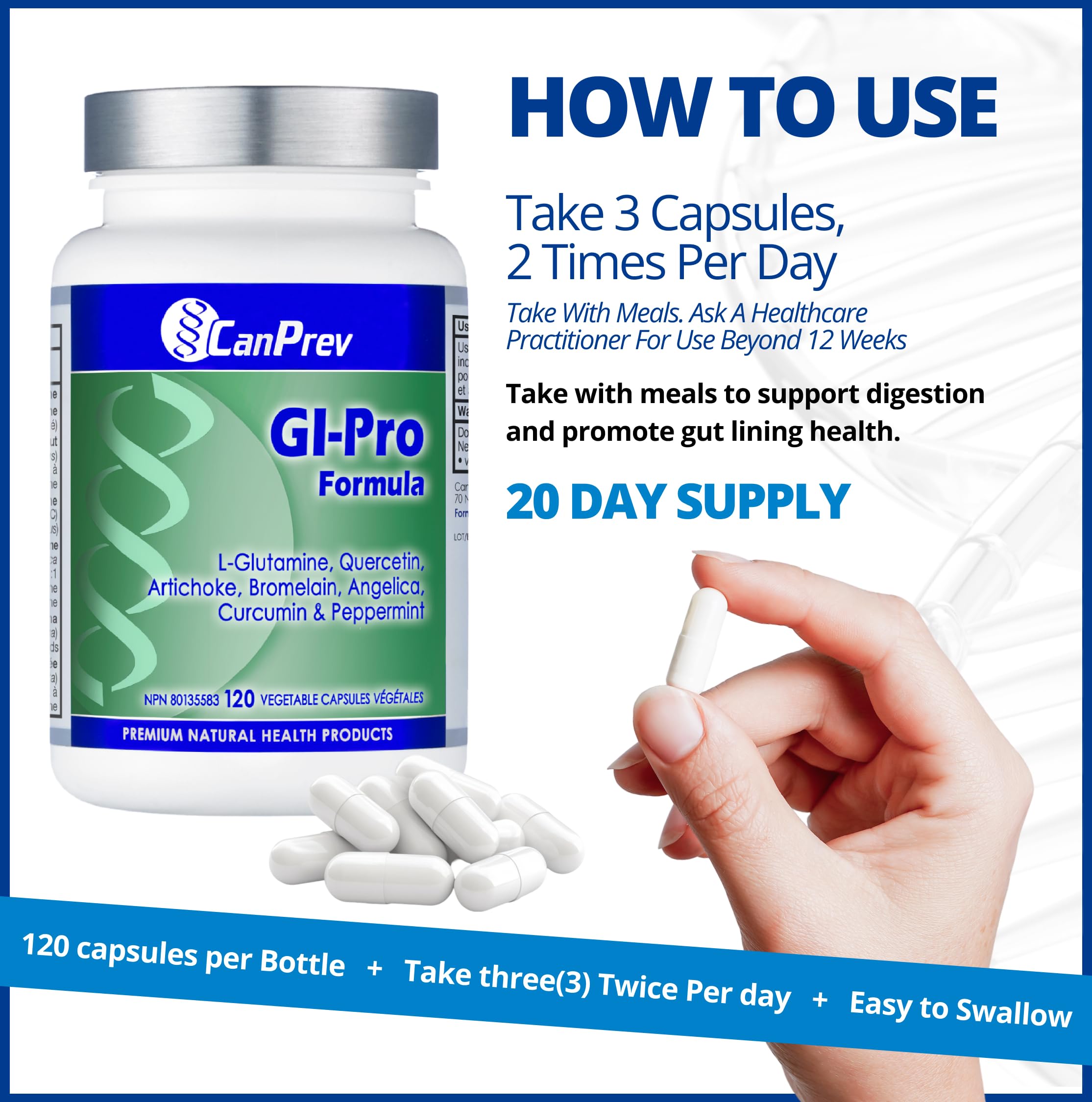 CanPrev GI Pro Formula, 120 Vegan V-Capsules with L-Glutamine, Quercetin, Artichoke, Angelica, Bromelain, Curcumin and Peppermint - Supports Digestive Comfort & Overall Gut Wellness
