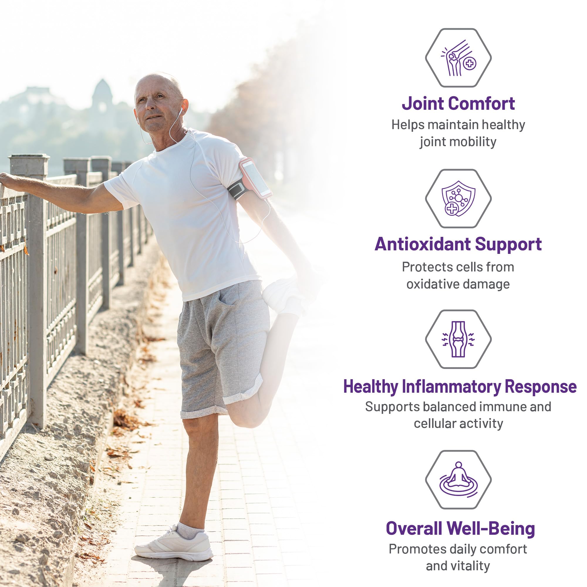 AOR Curcumin Active 133,3mg, 60 gélules (approvisionnement de 60 jours) - Végétalien, sans OGM et sans gluten - Absorption améliorée - Confort articulaire et soutien antioxydant