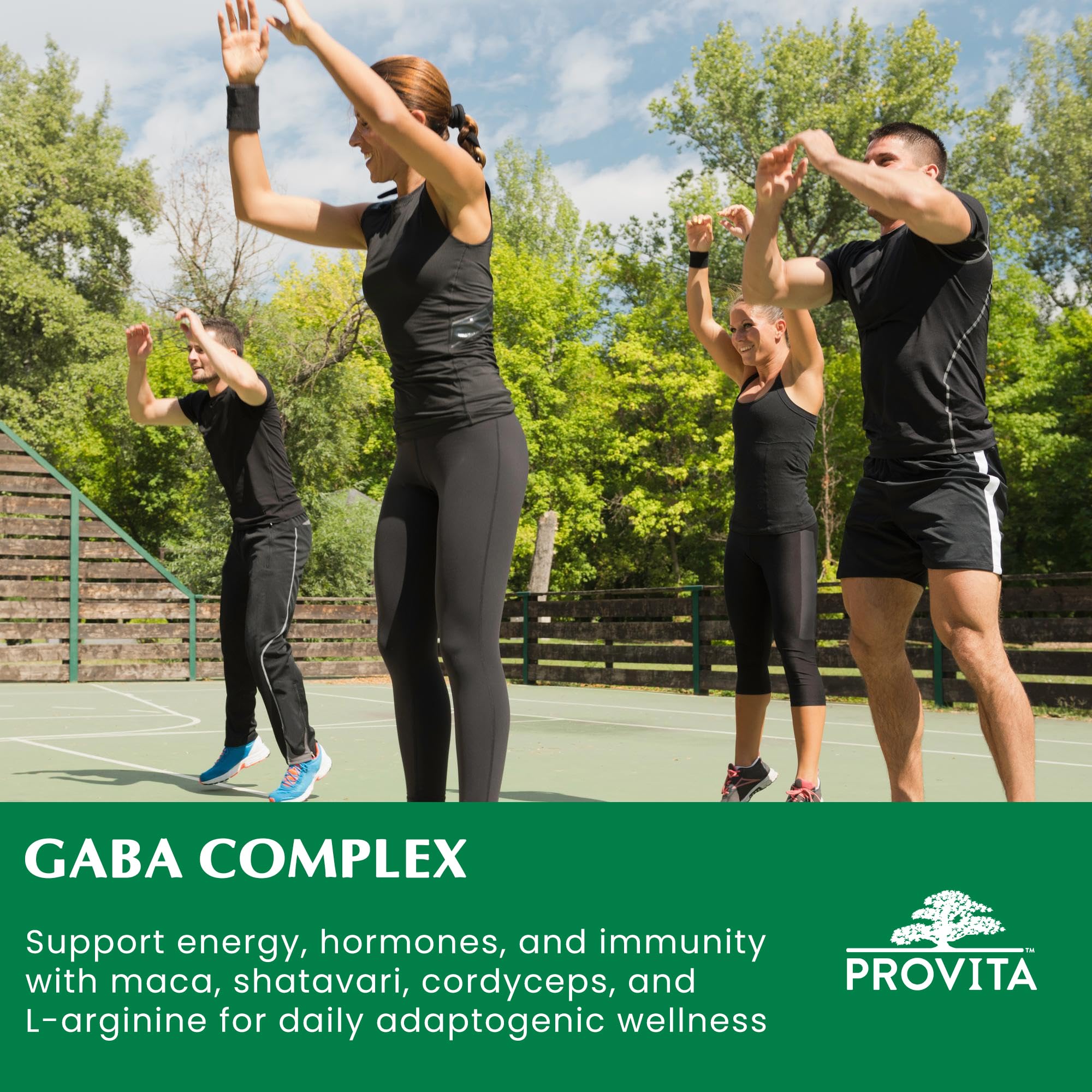 Provita GABA 500mg with L-Theanine & Vitamin B6 (P-5-P) | Natural Sleep Support & Relaxation Aid | Vegan, Non-GMO | Stress Support Supplement for Adults | NPN 80137872