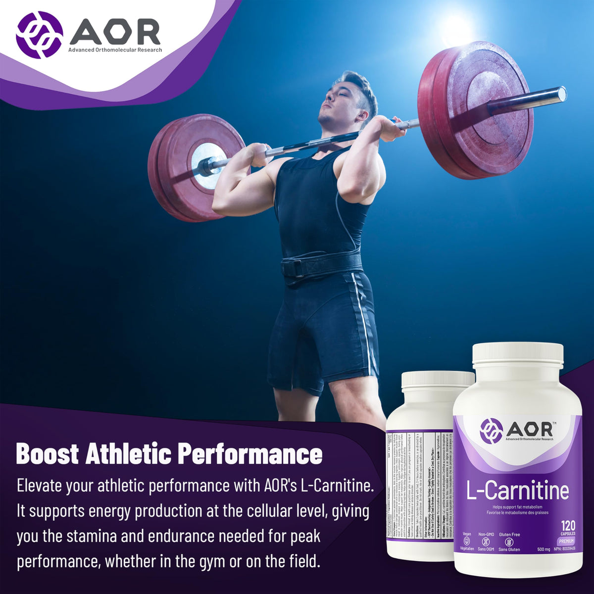 AOR L Carnitine 500mg Capsules, Muscle Recovery, Gluten Free, 120 Capsules