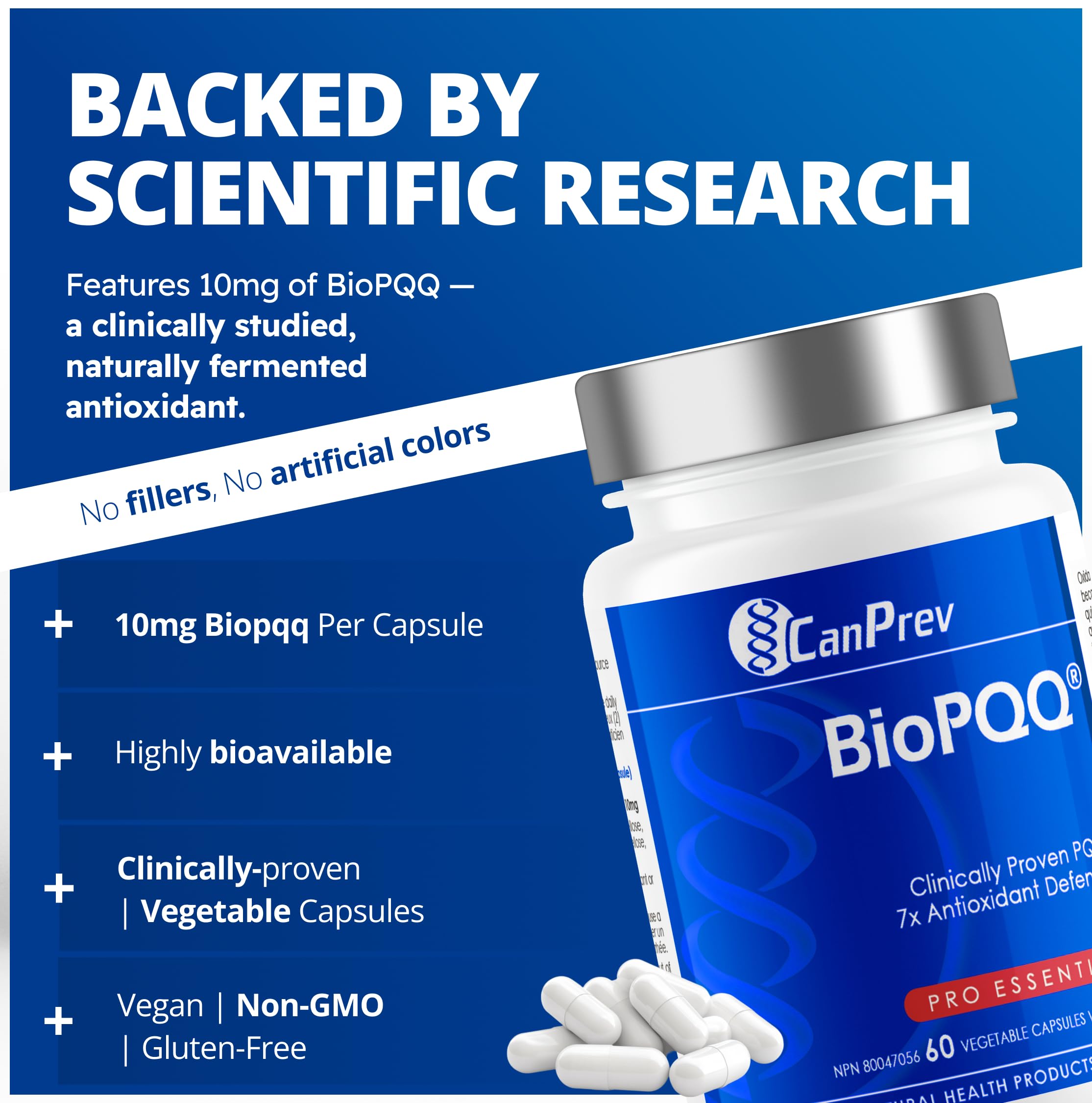 CanPrev - Supplément BioPQQ, 60 capsules, approvisionnement de 30 jours - PQQ Pyrroloquinoline Quinone pour le soutien de la mémoire, la santé cardiaque, le vieillissement sain et la santé cognitive - Supplément antioxydant - Végétalien et sans OGM