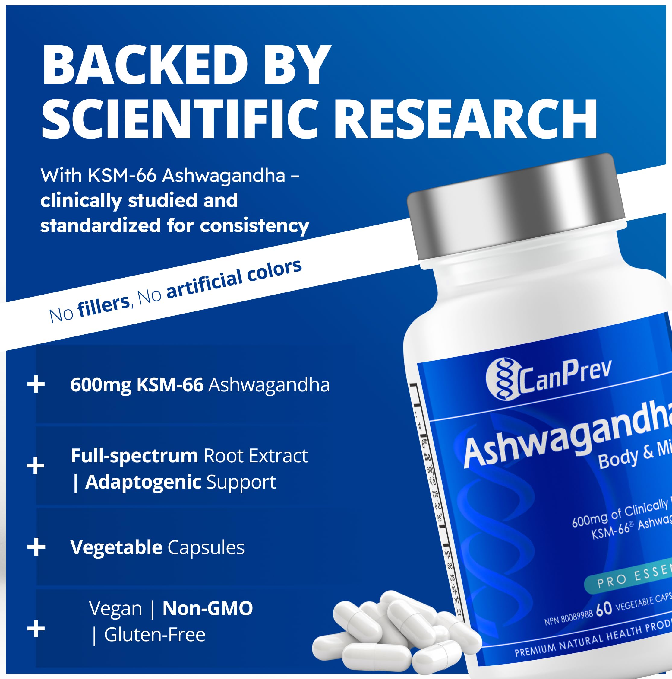 CanPrev Ashwagandha 600mg Végane 60 Gélules Fourniture de 60 Jours - Végane et Sans OGM - Formule Bio KSM-66 pour une Relaxation & Énergie Améliorées, un Soutien au Sommeil, une Amélioration de la Mémoire - Supplément pour la Gestion du Poids