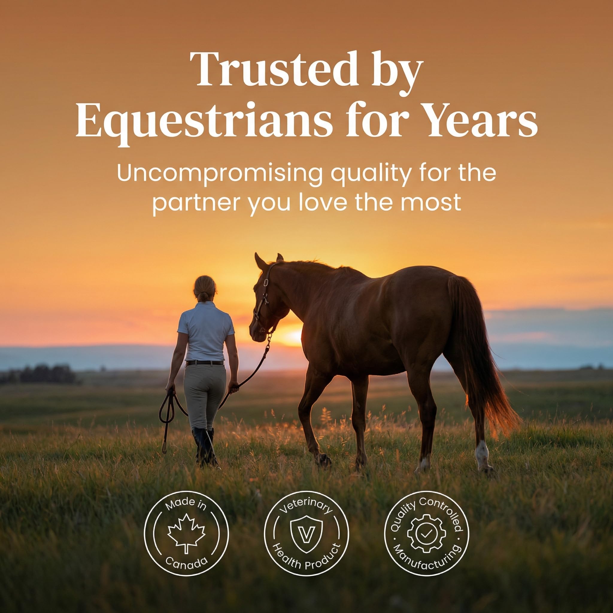 PURICA Equine Recovery