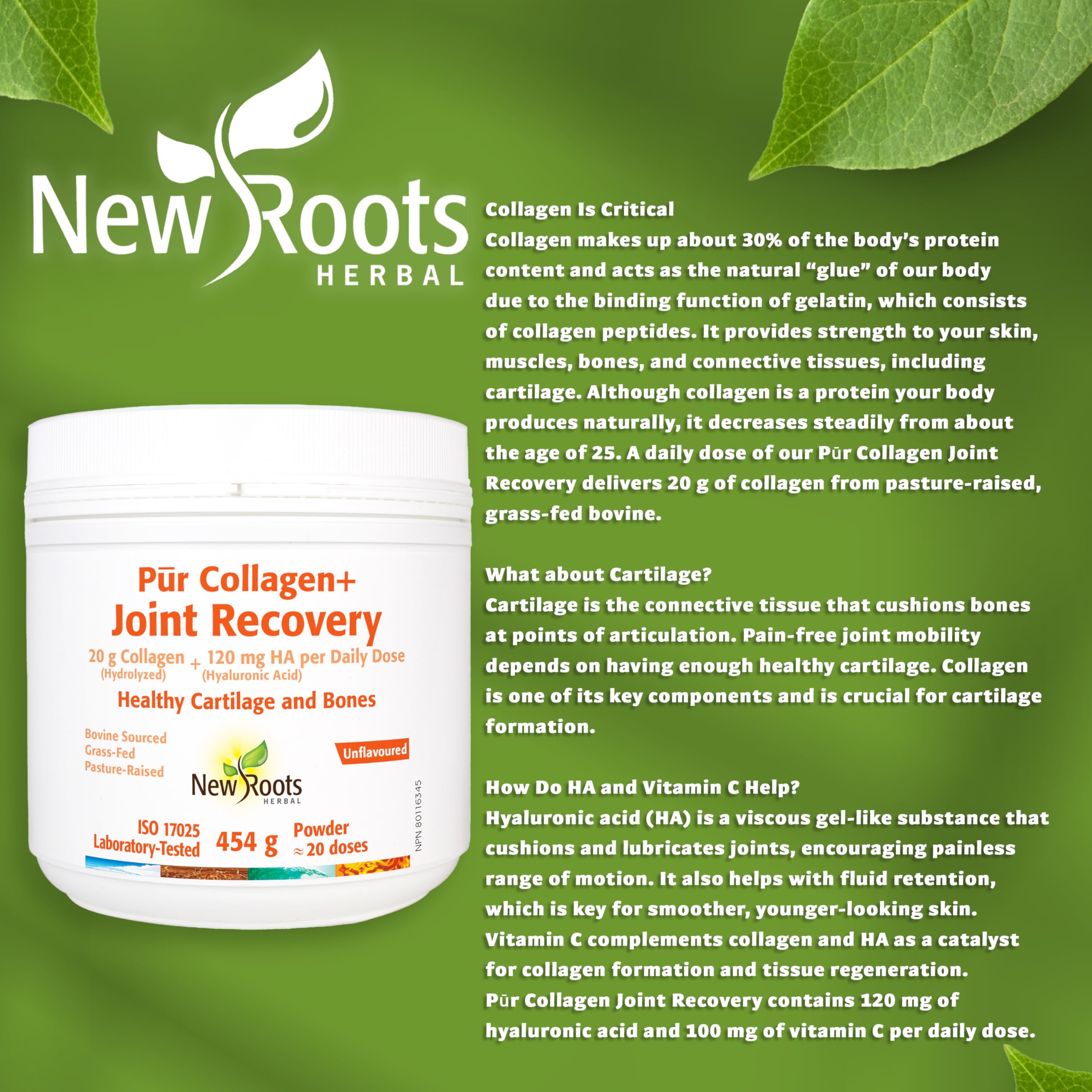 New Roots Herbal - Pur Collagen + Joint Recovery, 454g Powder - Helps Supports Cartilage, Bones, Teeth, Gums and Joints Health - Helps with Immune Function and Improve Skin Hydration