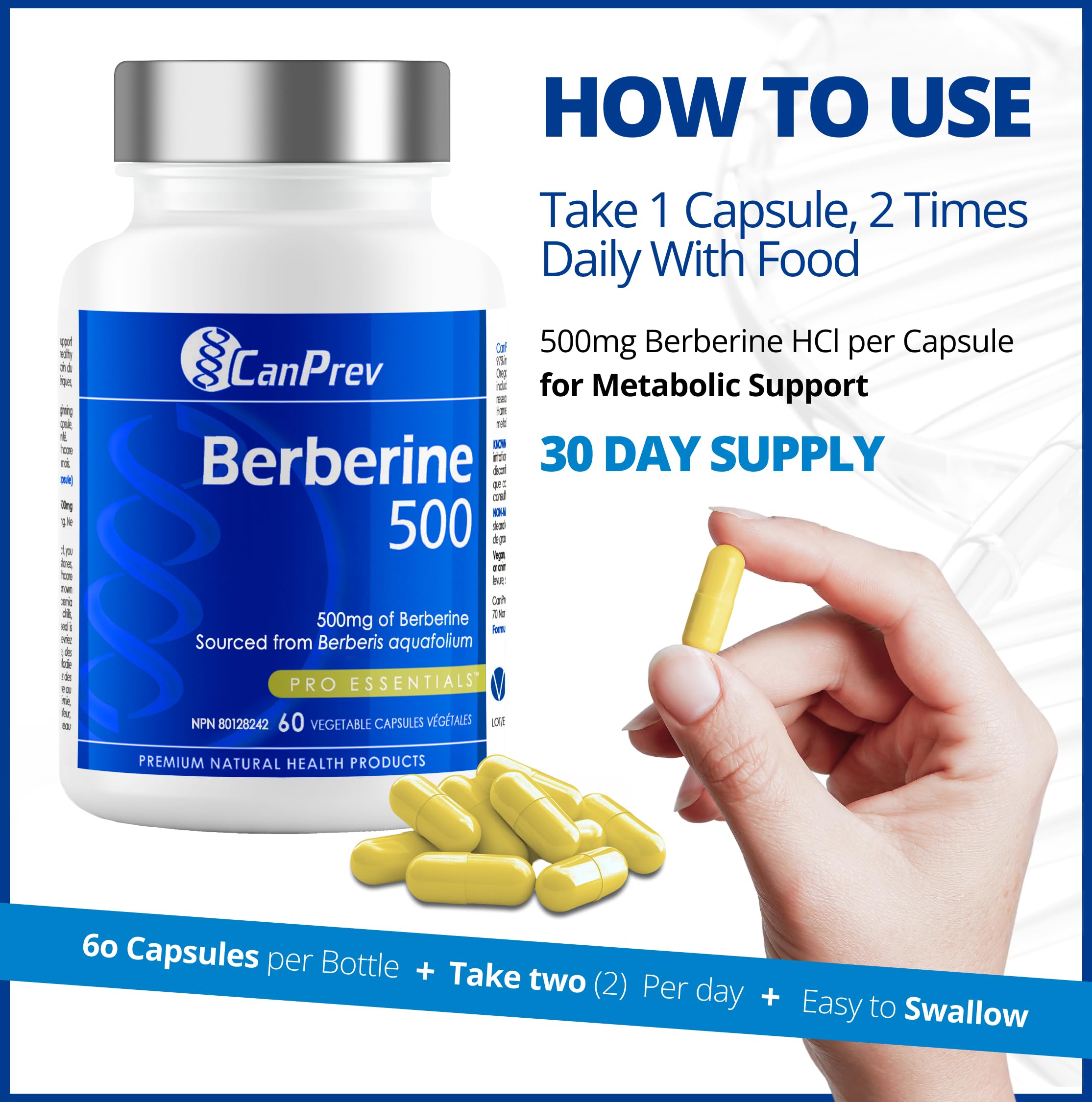 CanPrev - Berbérine 500mg, 60 gélules végétaliennes, Cure de 30 jours - Favorise un Métabolisme du Glucose Sain - Contribue au Maintien de Niveaux de Cholestérol et de Lipides Sanguins Sains - Source d'Antioxydants