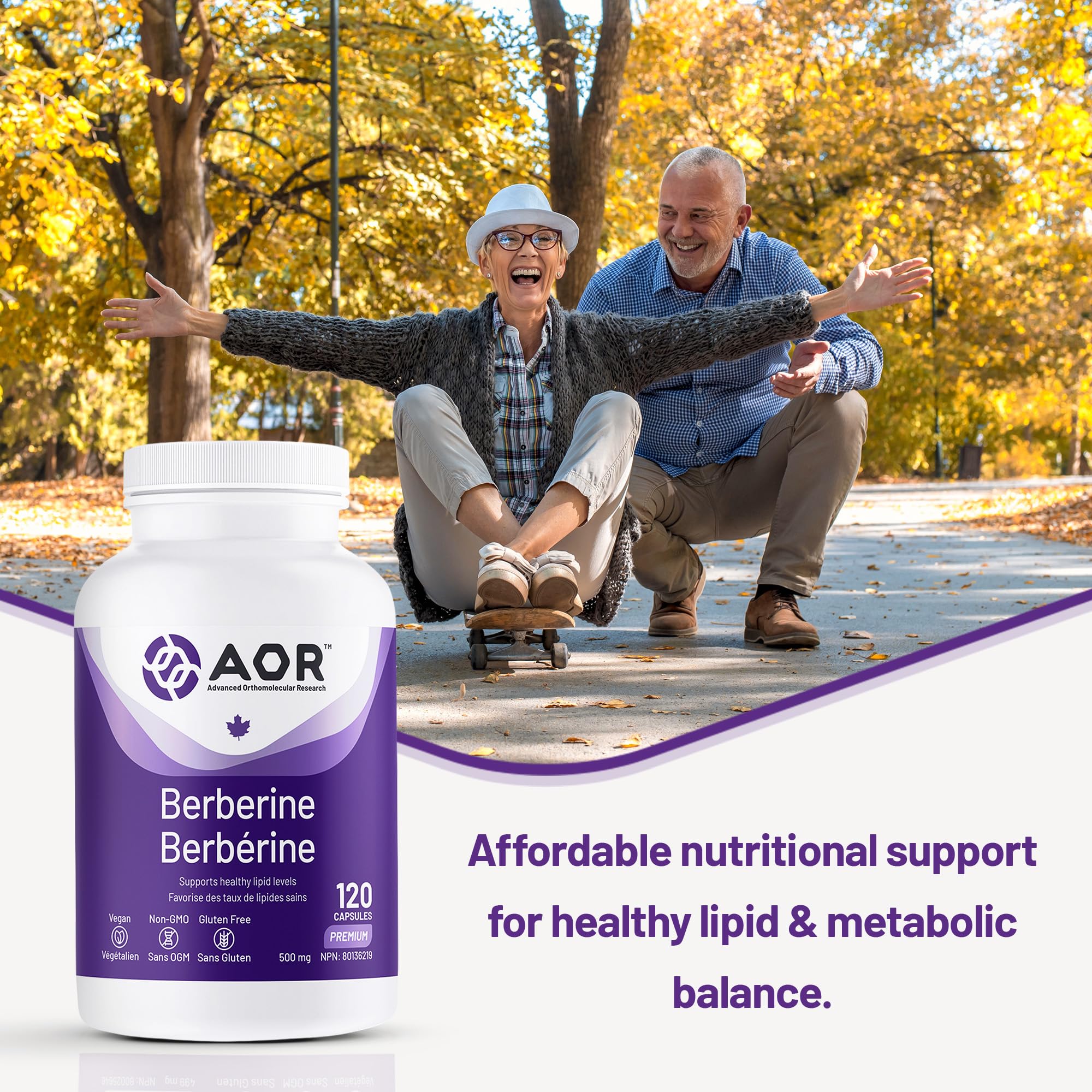 AOR - Berbérine 500mg - Complément de berbérine pour des taux lipidiques et un cholestérol sains, santé cardiovasculaire - Supplément pour abaisser le cholestérol LDL