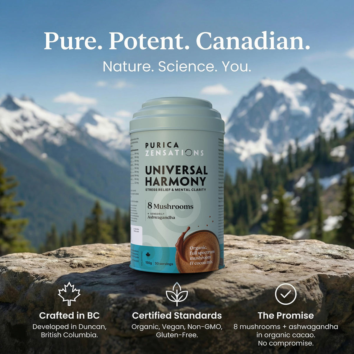 PURICA Zensations Universal Harmony Powder, Cacao, 125 mg Ashwagandha, 150g