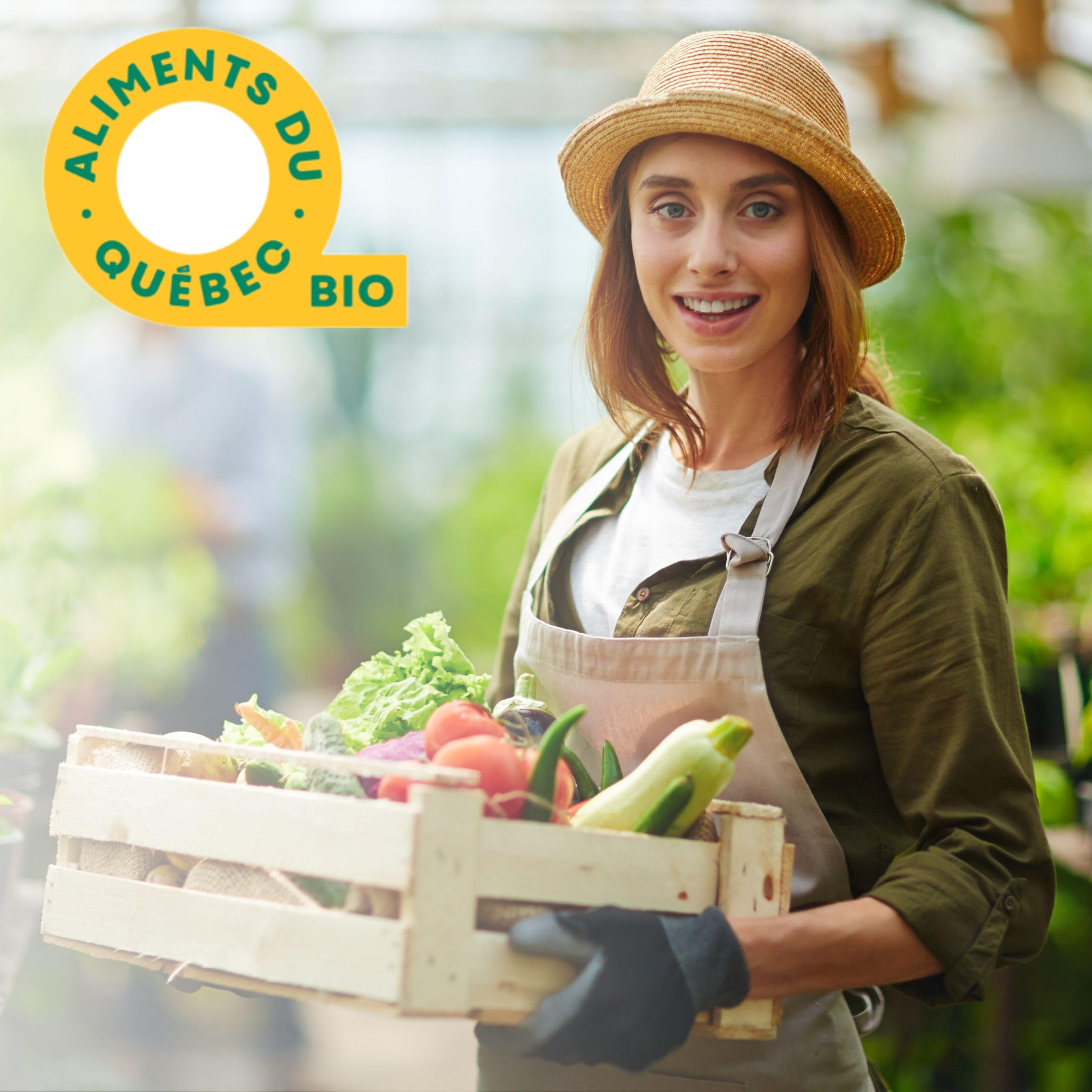 Biodelices Organic Maple Syrup, Maple Butter, Maple Jelly, and Maple Sugar - 100% Pure Maple Syrup - Tasting Pack - Elite Artisan, Natural and Authentic