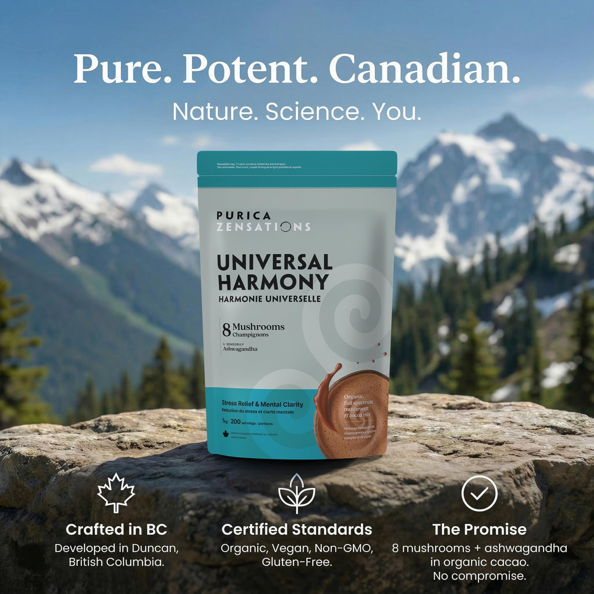 PURICA Zensations Universal Harmony, Ashwagandha & 8 Mushroom Blend Cacao