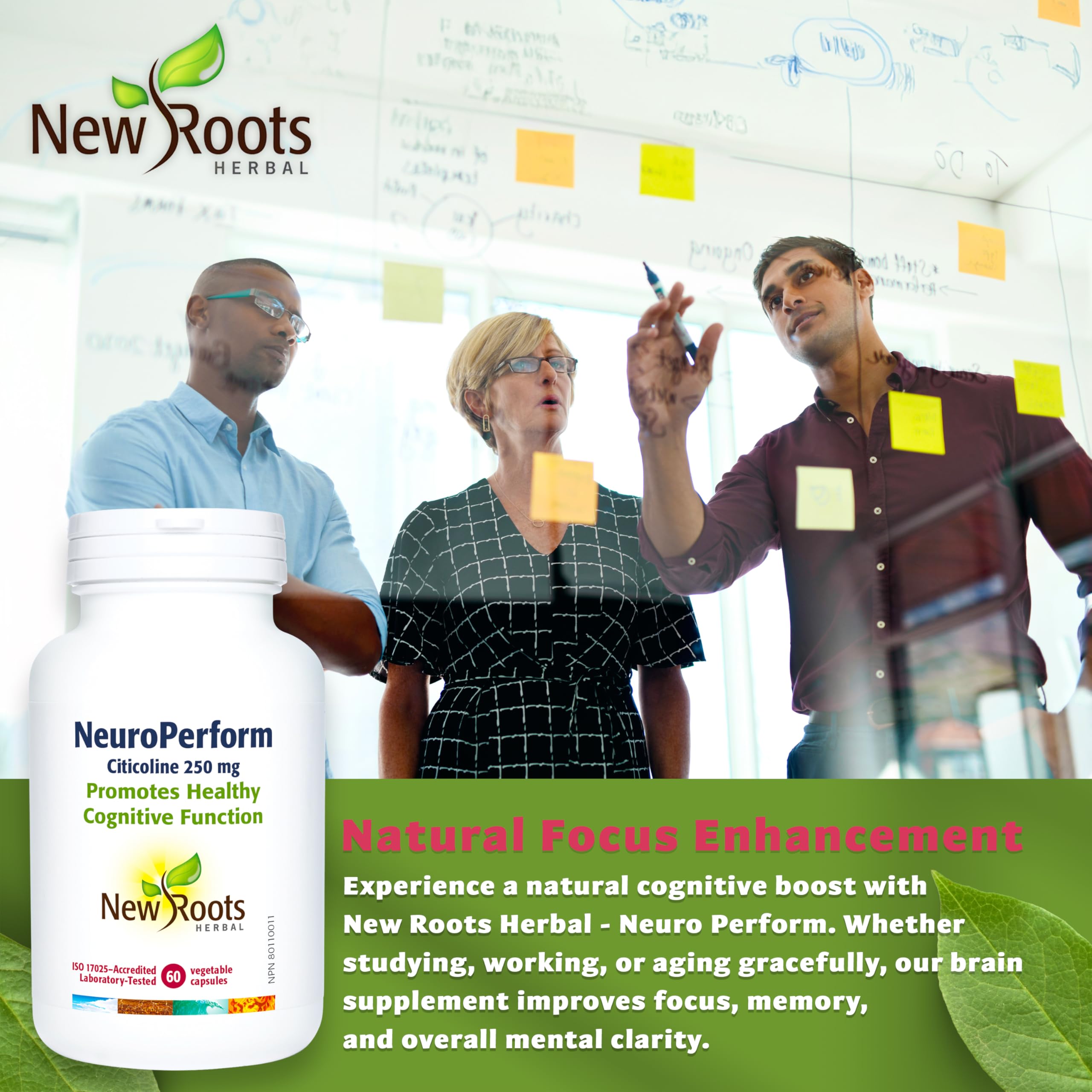 New Roots Herbal Neuro Perform, Citicoline 250 mg, Choline 14 mg, 60 Capsules - Phosphatidylcholine, CDP Choline - Supports Cognitive Function and Brain Health, Ideal Choline Supplement for Pregnancy