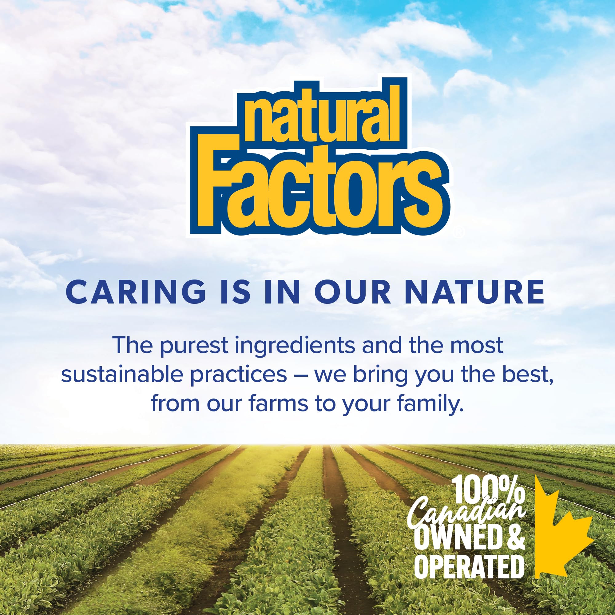 Natural Factors Methylfolate 1 mg Plus Methylcobalamin B12 50 mcg, 60 Sublingual Tablets, BioCoenzymated - The Most Metabolically Active Form of B Vitamins, Proudly Canadian