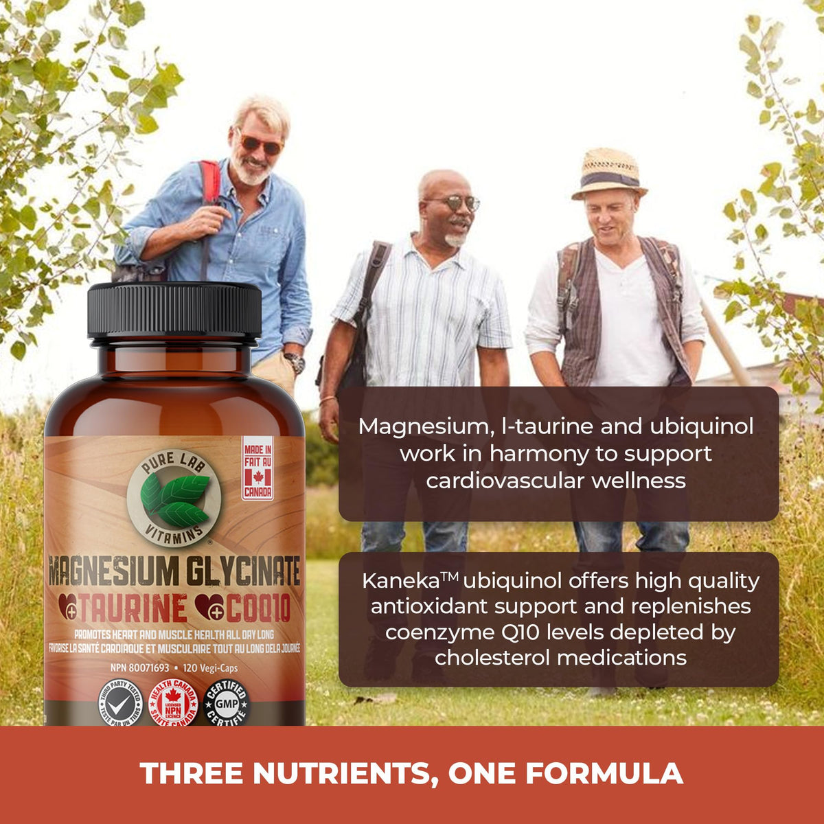 Pure Lab Vitamins Magnesium Glycinate + Taurine + CoQ10-120 Vegi-Caps