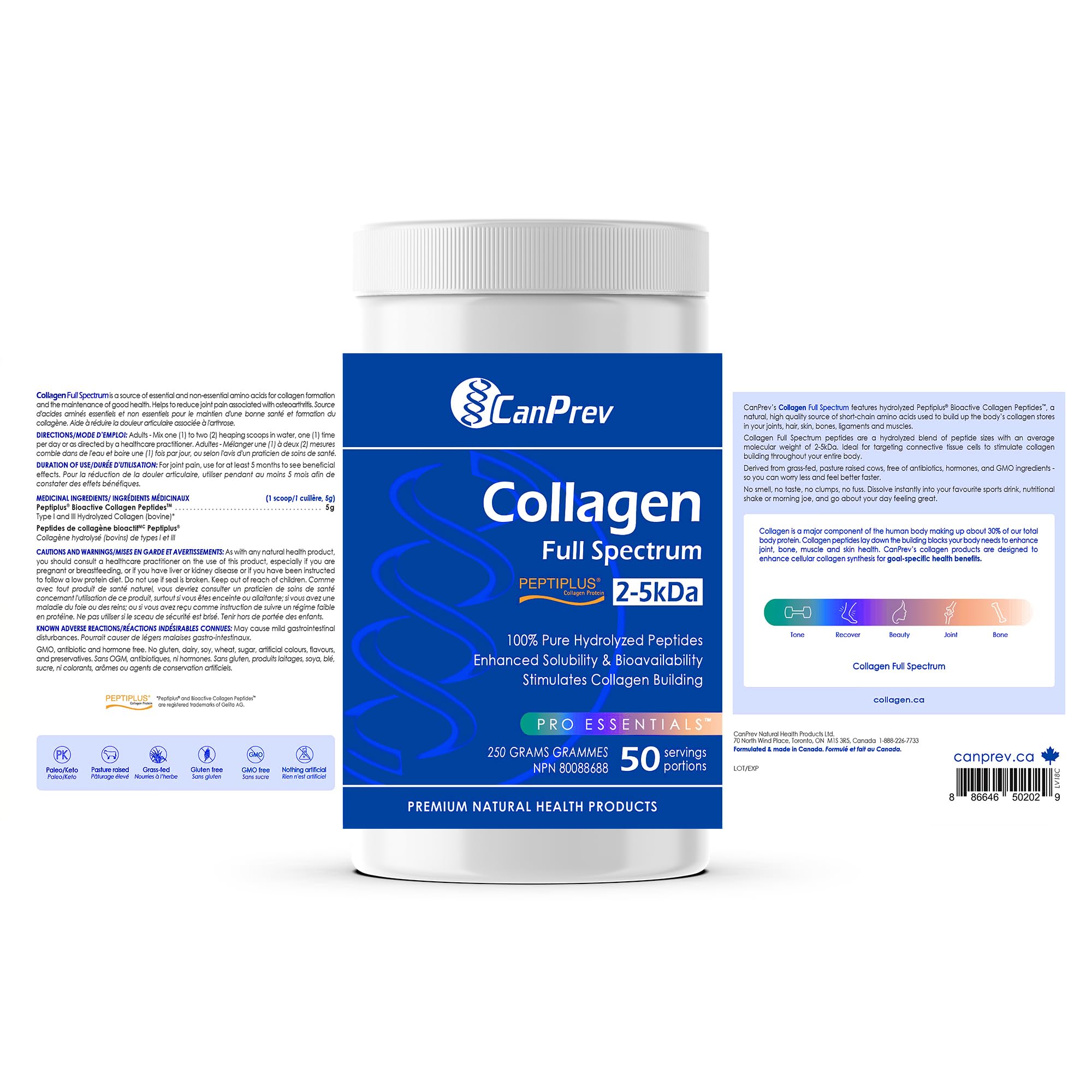 CanPrev Collagène Full Spectrum Peptiplus, 250 g en poudre 50 portions - Peptides purs hydrolysés, optimisés pour un mélange et une absorption faciles - Collagène bovin soutenant les articulations, les cheveux, la peau, les ongles et les os