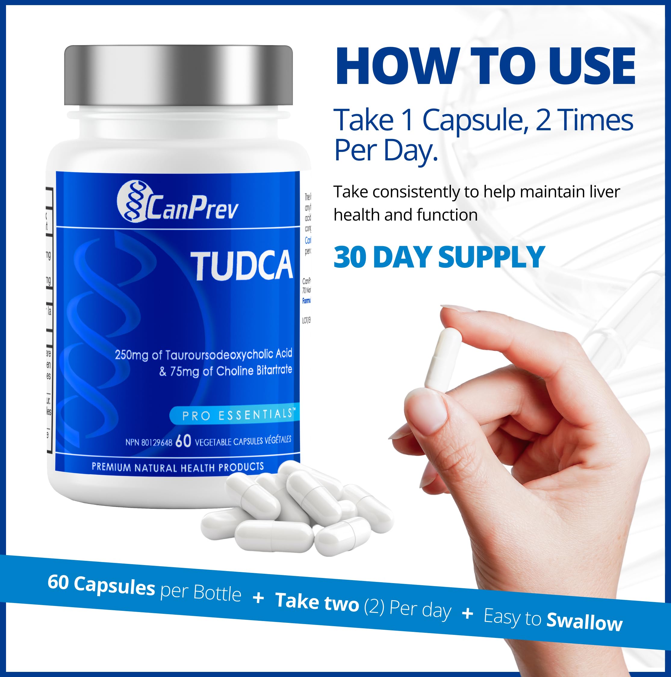 CanPrev Supplément TUDCA 250mg + Choline 75mg, 60 gélules pour 30 jours, favorise la santé et la fonction hépatiques - Formulé pour le bien-être et l'équilibre digestif - Formule de sels biliaires Belly Aid pour le soutien digestif