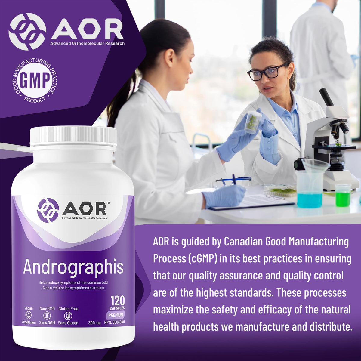 AOR Andrographis Capsules, Immune Support Supplement, 120 Capsules