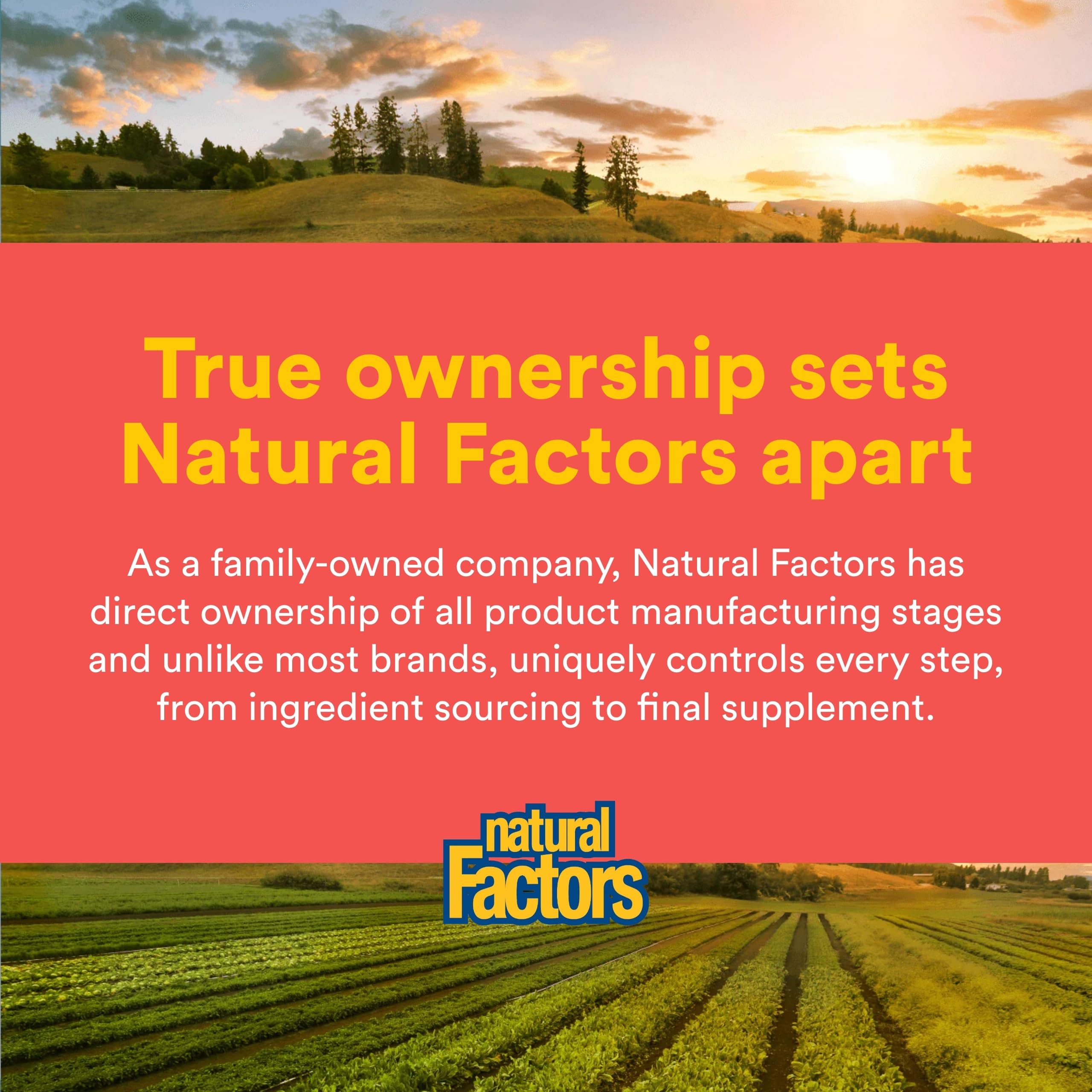 Natural Factors 100% Natural Fruit Chew C (500mg) Peach Passion & Mango 180 wafrs