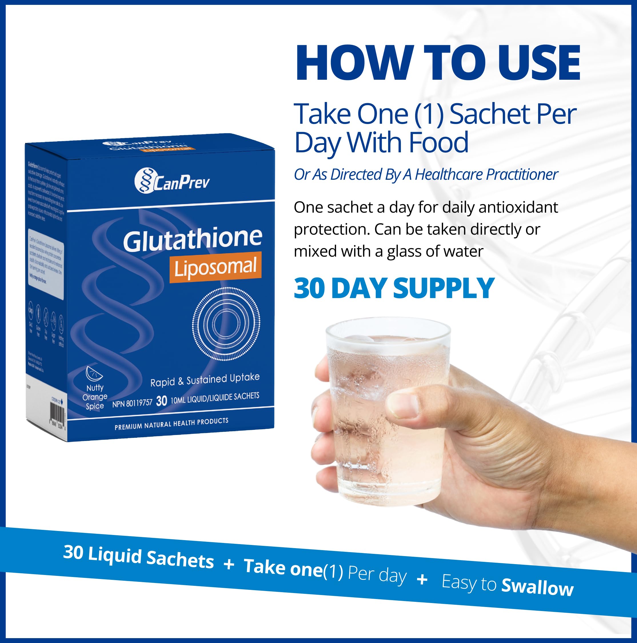CanPrev Supplément liquide de glutathion liposomale, 30 sachets pour 30 jours – Saveur orange épicée et noisette – L-glutathion pour un soutien antioxydant et hépatique – Absorption efficace – Sans arômes artificiels
