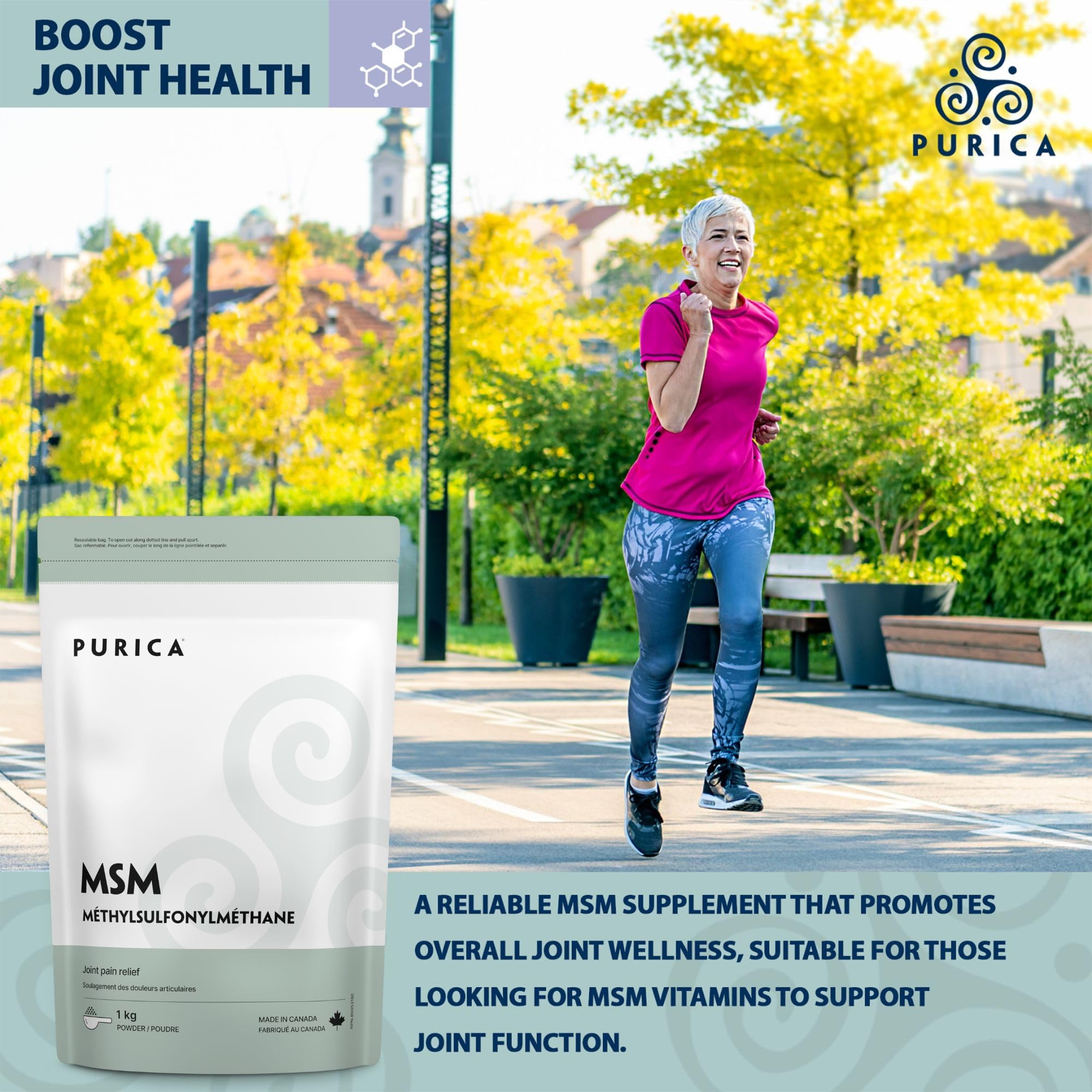 PURICA - MSM - 300g