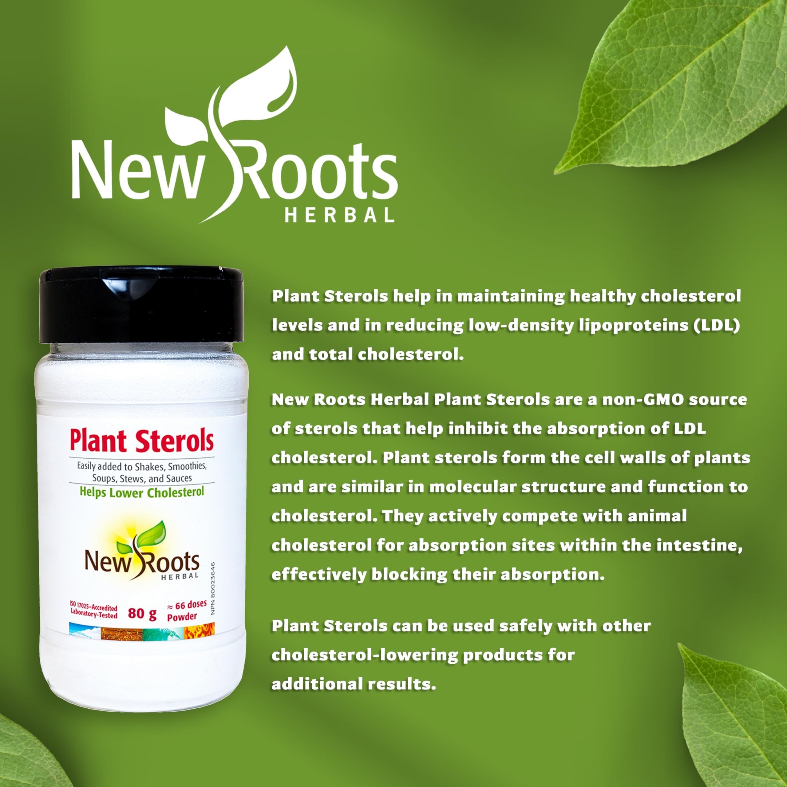 New Roots Herbal - Stérols végétaux, 80g Poudre 66 portions - Supplément pour Shakes, Smoothies, Soupes, Ragoûts, Sauces pour pâtes, Cuisine - Comprend du bêta-sitostérol et des stanols - Soutient les objectifs nutritionnels