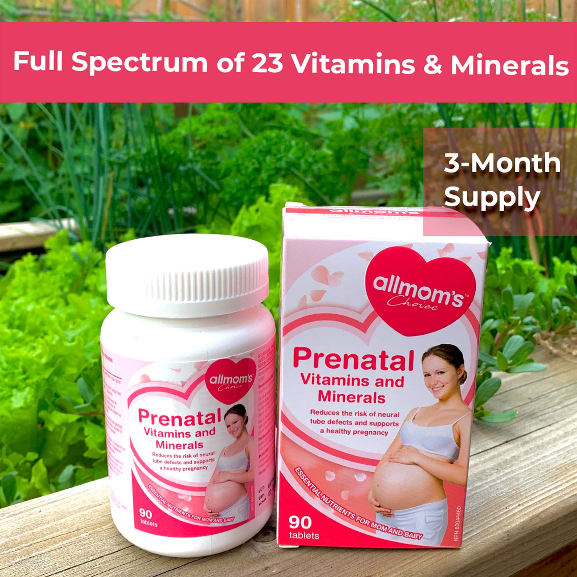 Vitamines prénatales avec 1000mcg de folate (acide folique), vous prépare à la conception et à la grossesse, 23 vitamines et minéraux, incluant fer, calcium, vitamine D, biotine – Approvisionnement de 90 jours - Allmom's Choice